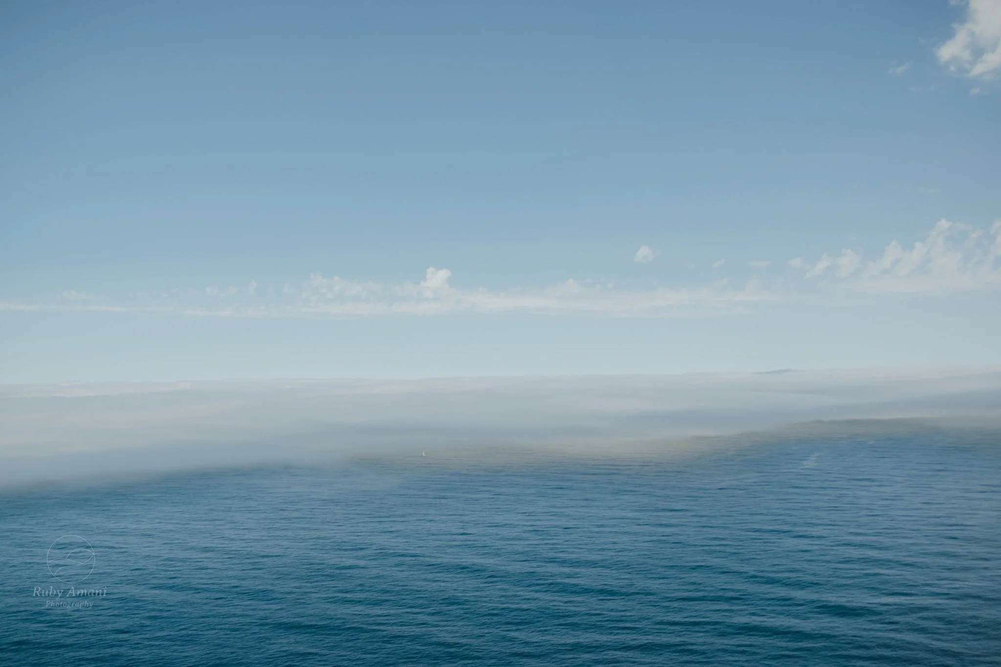 DSC_0567.jpeg
