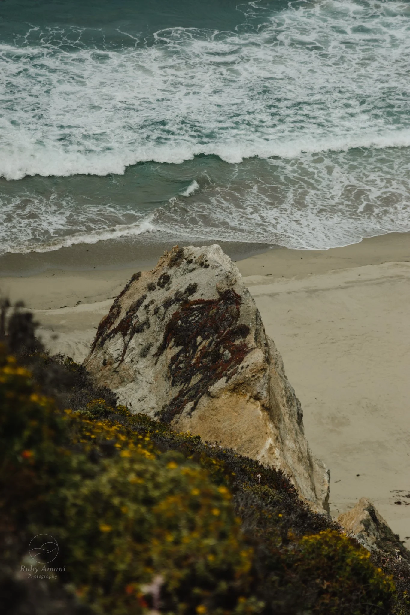 DSC_0535.jpeg
