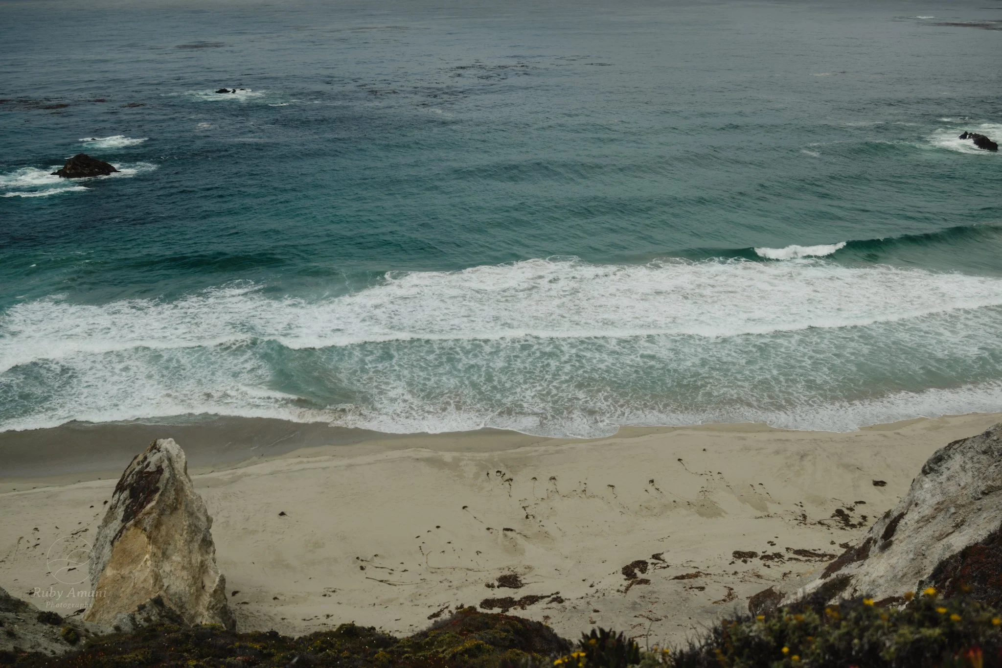 DSC_0521.jpeg
