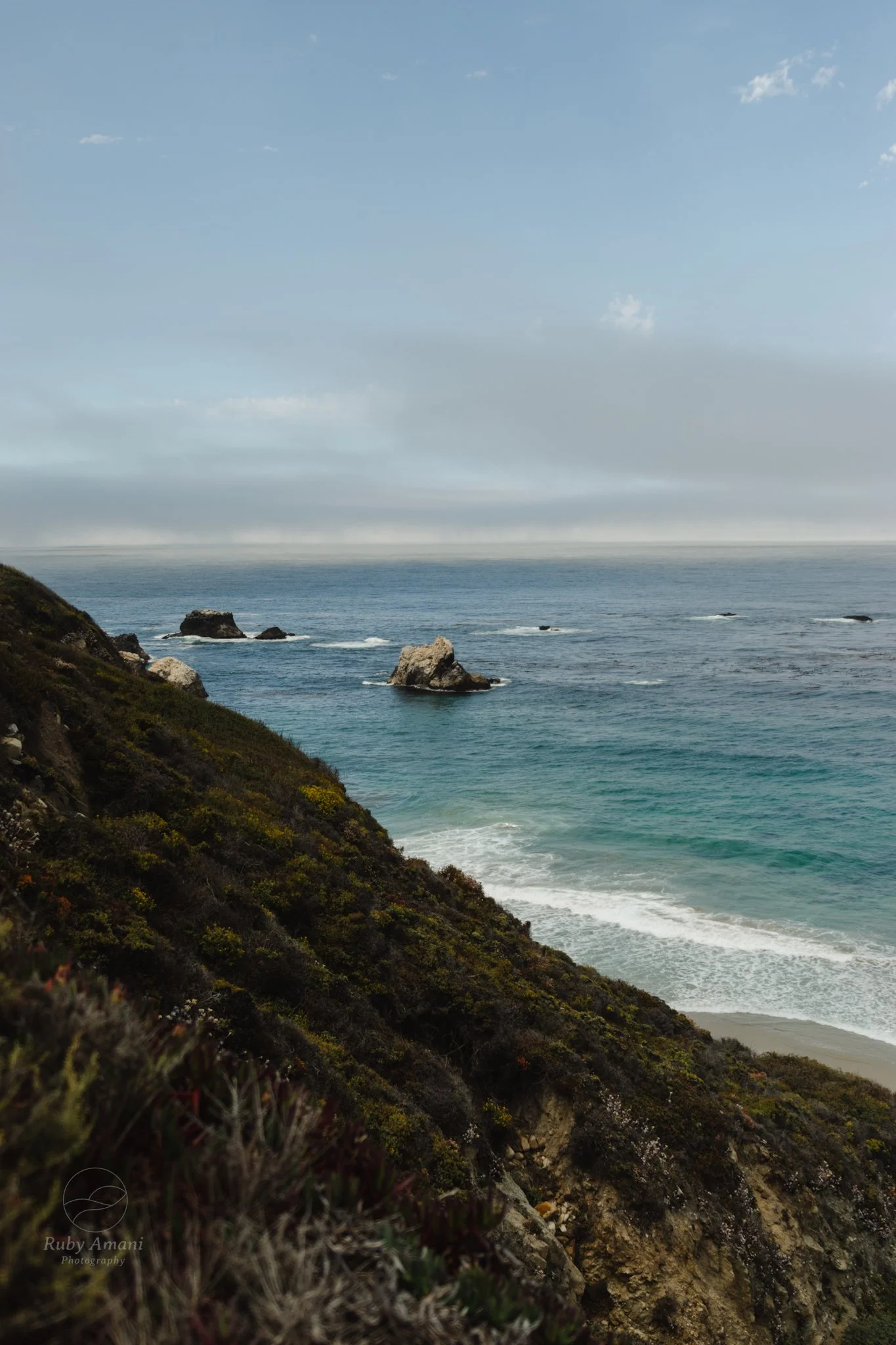 DSC_0520.jpeg