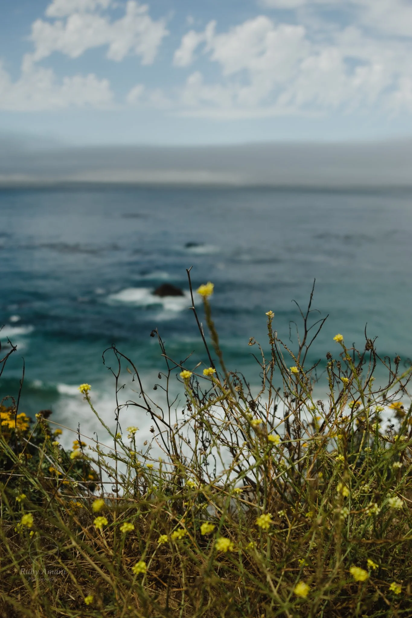 DSC_0554.jpeg