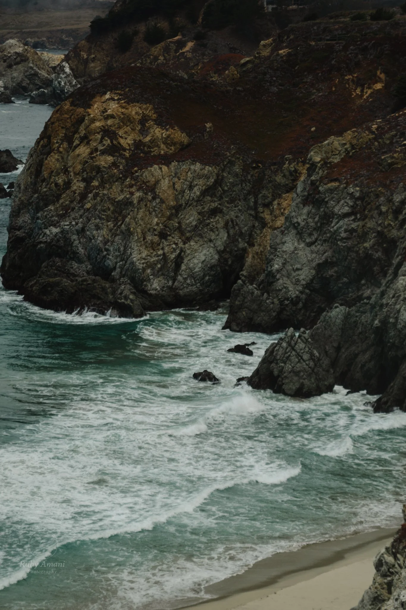 DSC_0536.jpeg