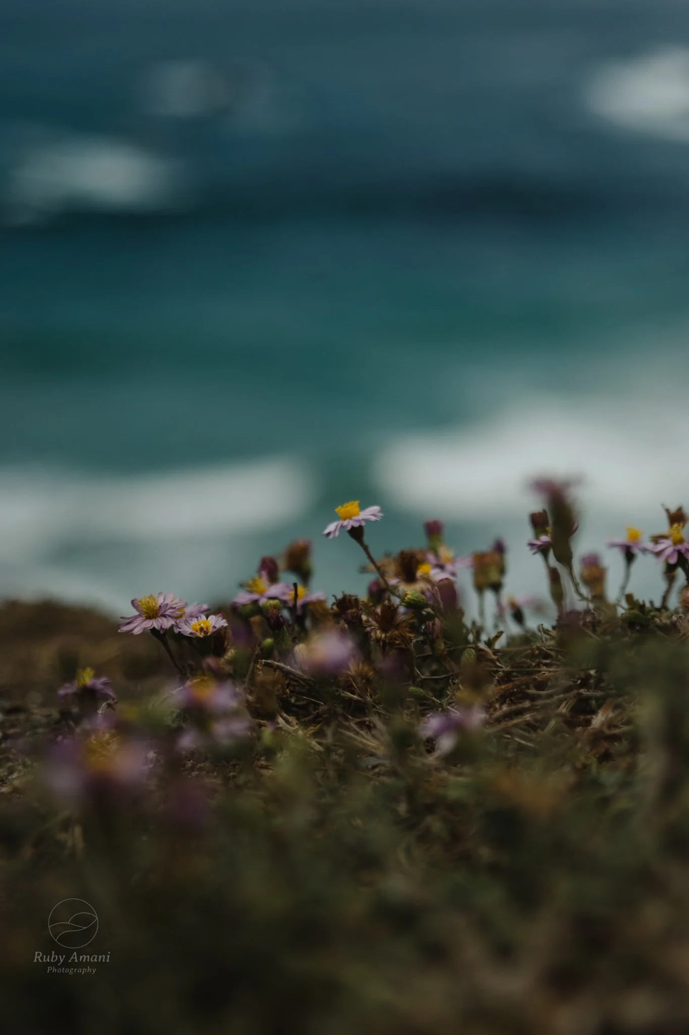 DSC_0533.jpeg