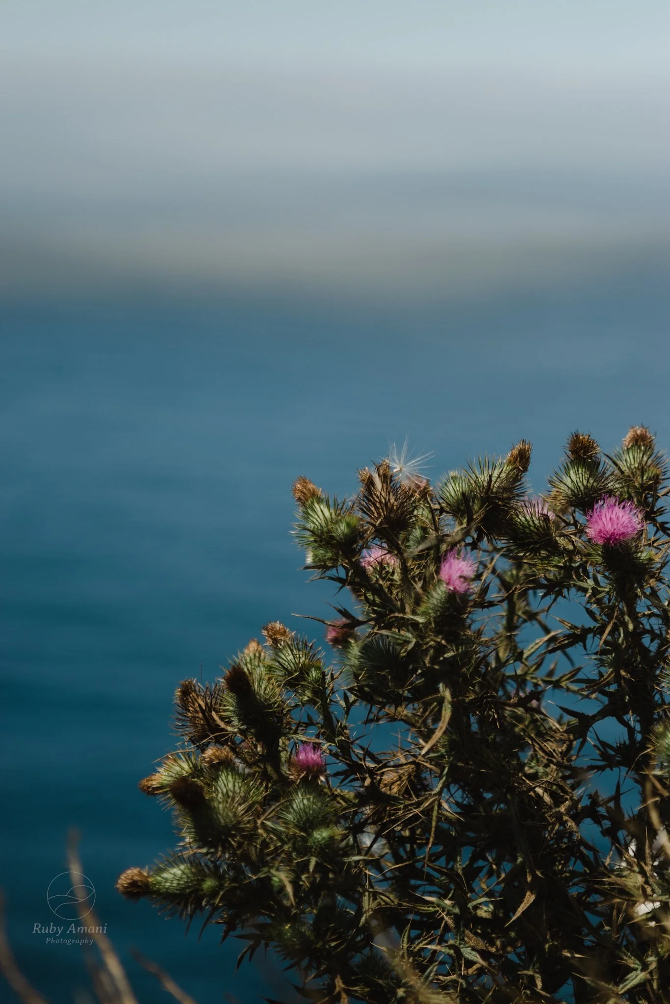 DSC_0570.jpeg