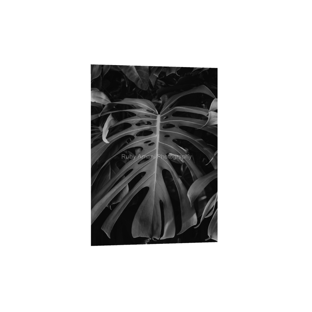 ptq_1_7_0_399_4000_5600_0_false_ffffff_0_0_e79d0ebb57a866a3d3a232ef681b93ef.png