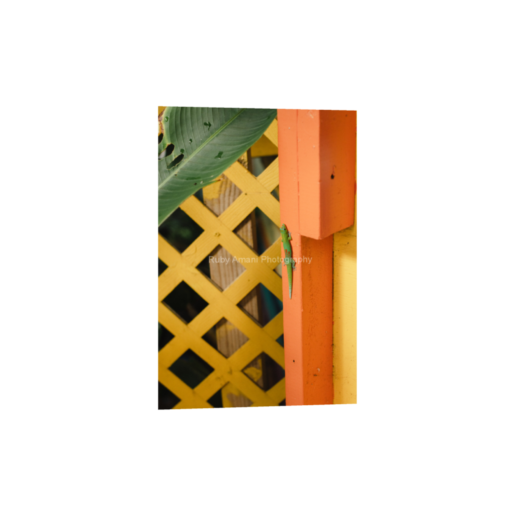 ptq_1_3_0_0_4000_6000_0_false_ffffff_0_0_e79d0ebb57a866a3d3a232ef681b93ef.png