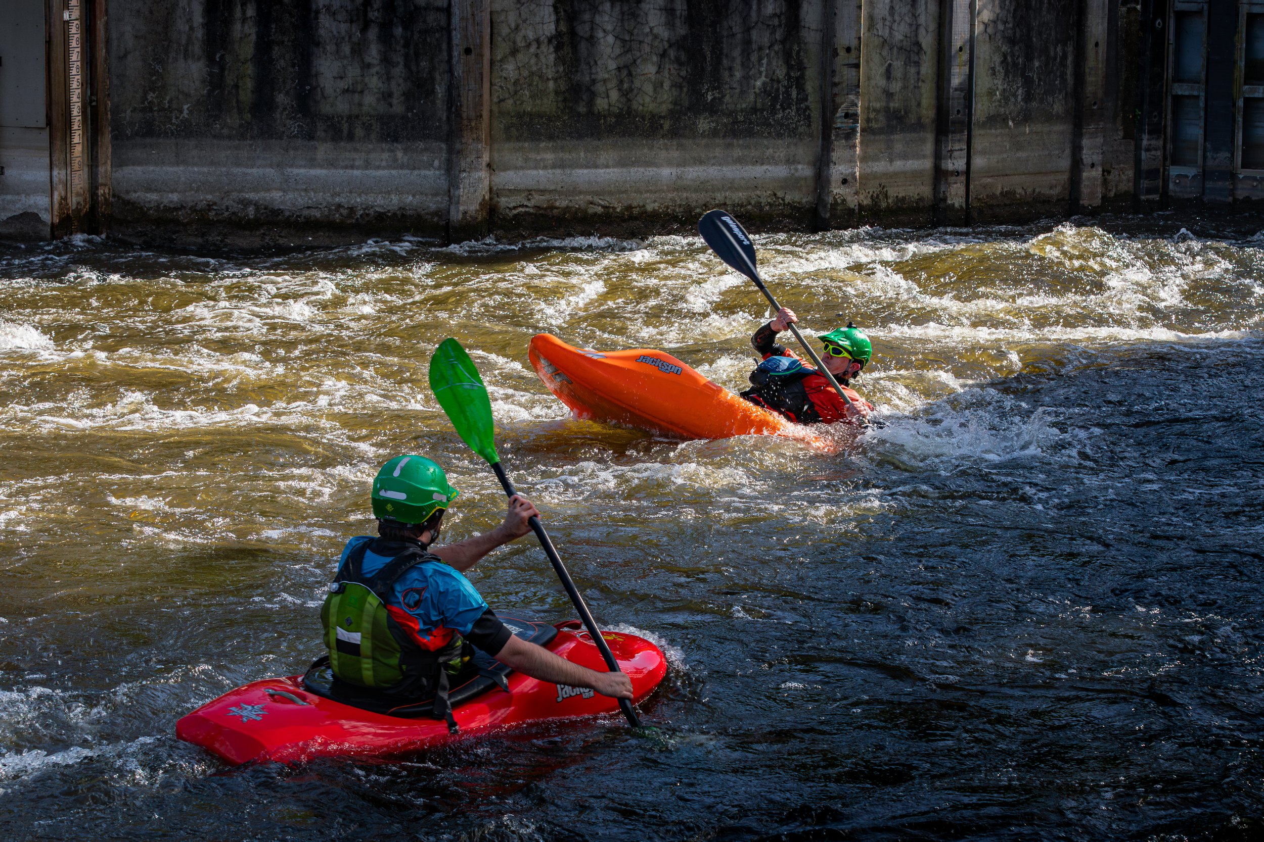 293A2072 - www.anupbhattphotography.com.jpg