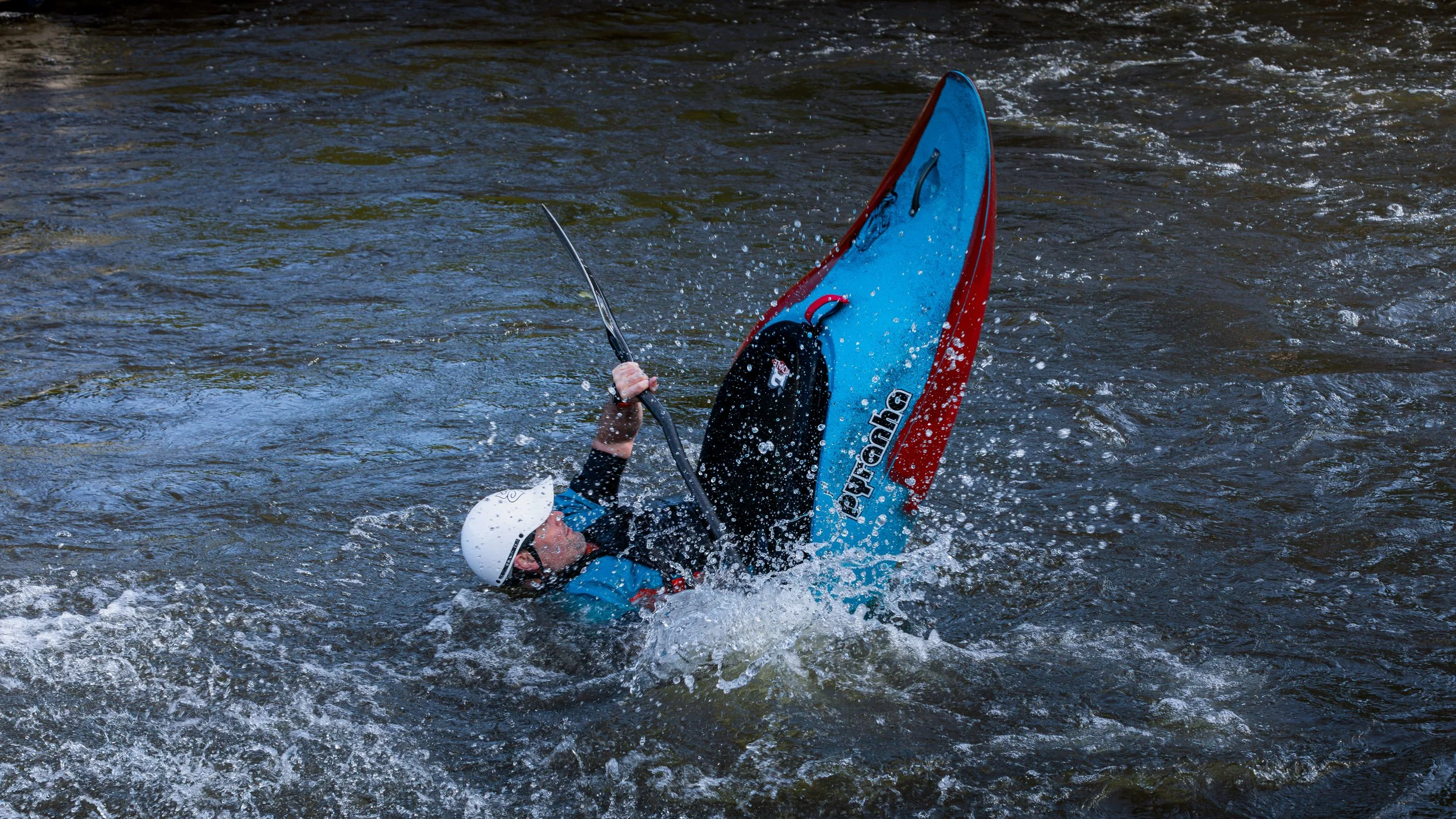 293A2105 - www.anupbhattphotography.com.jpg