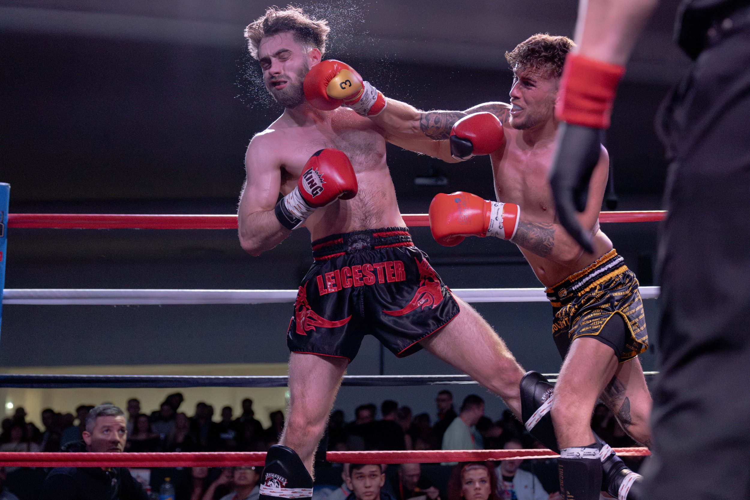 20242223 Ring Wars 13 Leicester Kickboxing ABP02383 - www.anupbhattphotography.com.jpg