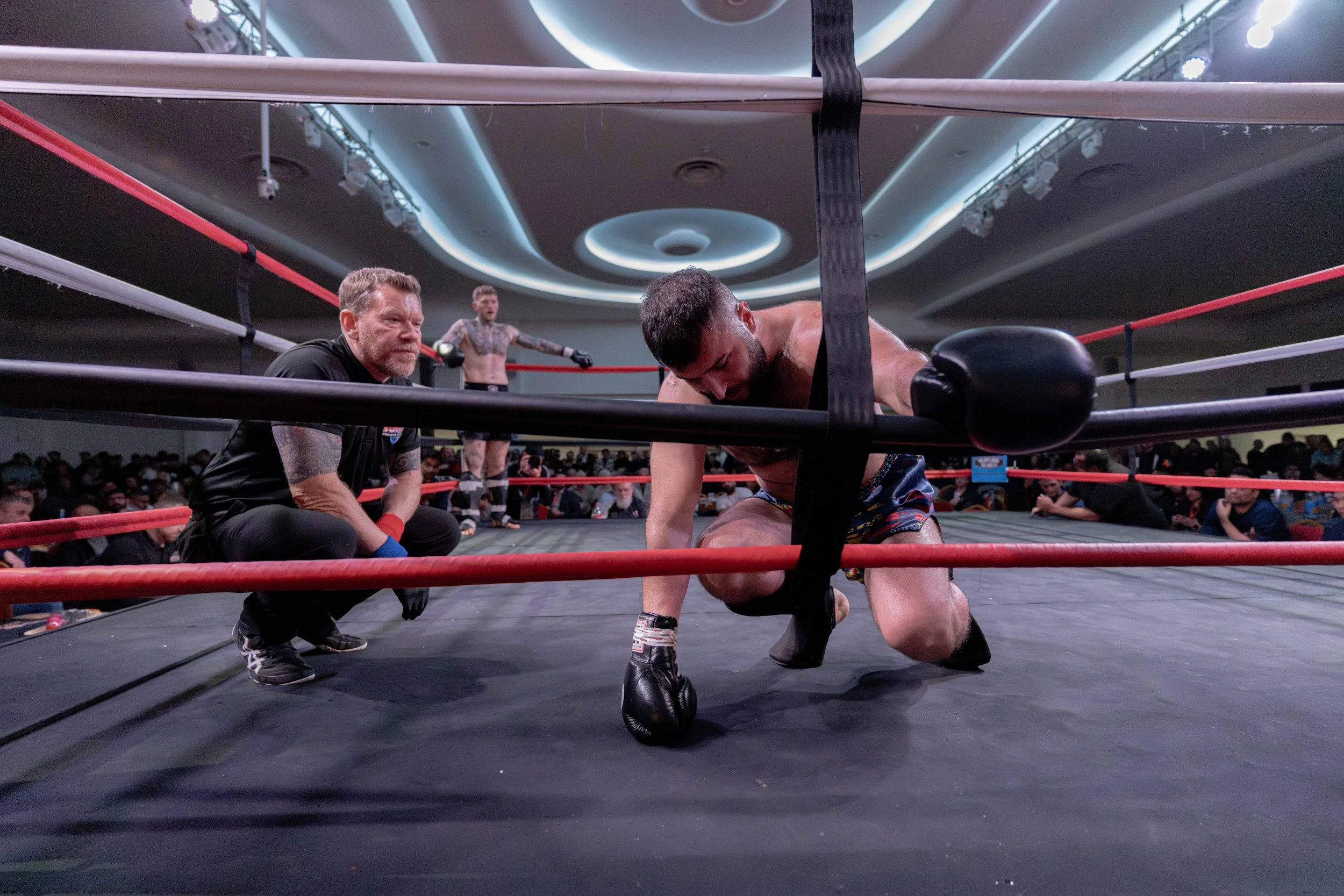 20242223 Ring Wars 13 Leicester Kickboxing ABP06933 - www.anupbhattphotography.com.jpg