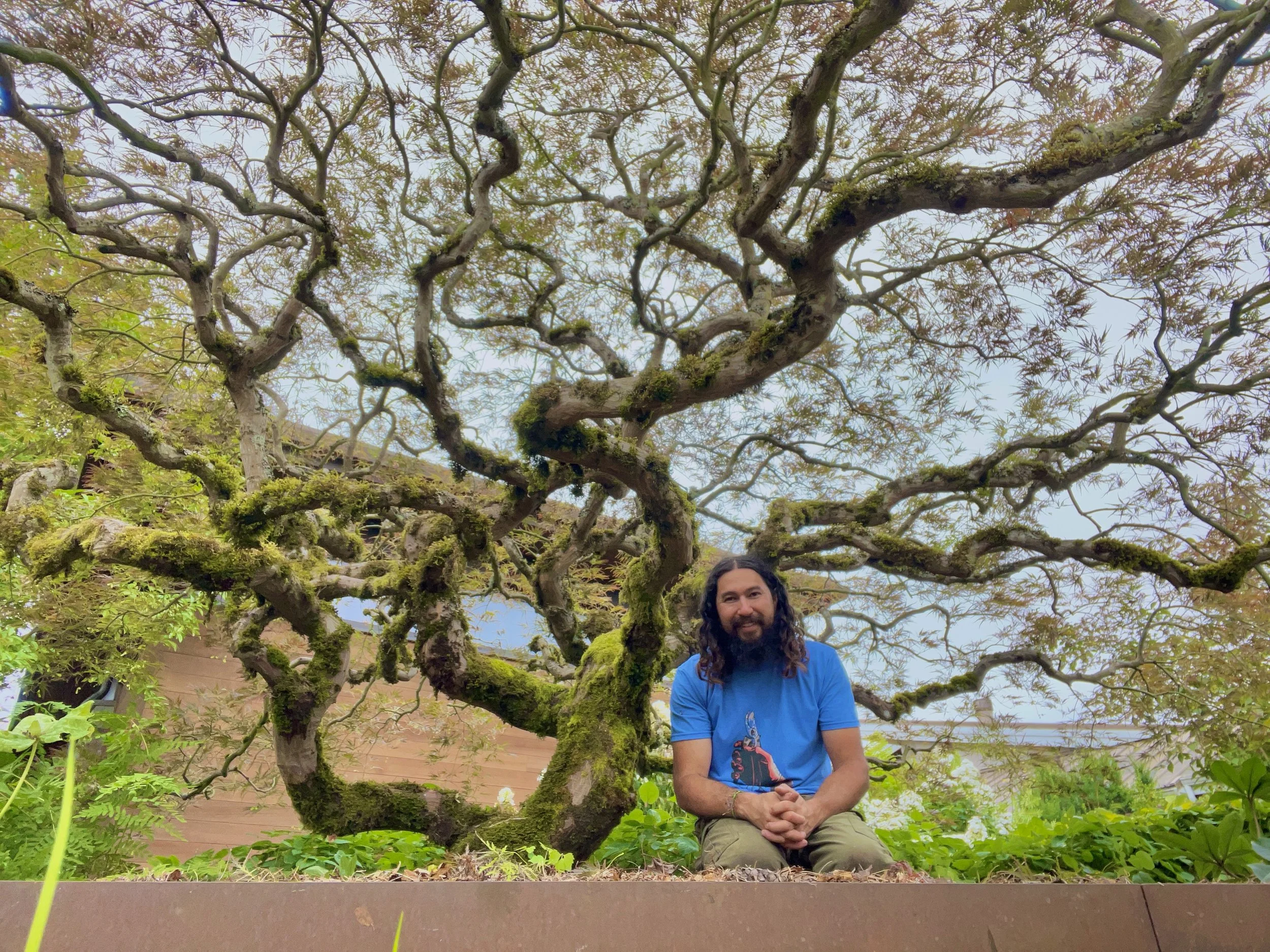 A man with long dark hair, a beard, wearing a blue T-shirt, sitting on the ground in front of a large, moss-covered, leafless tree with twisted branches, in a garden with green plants.