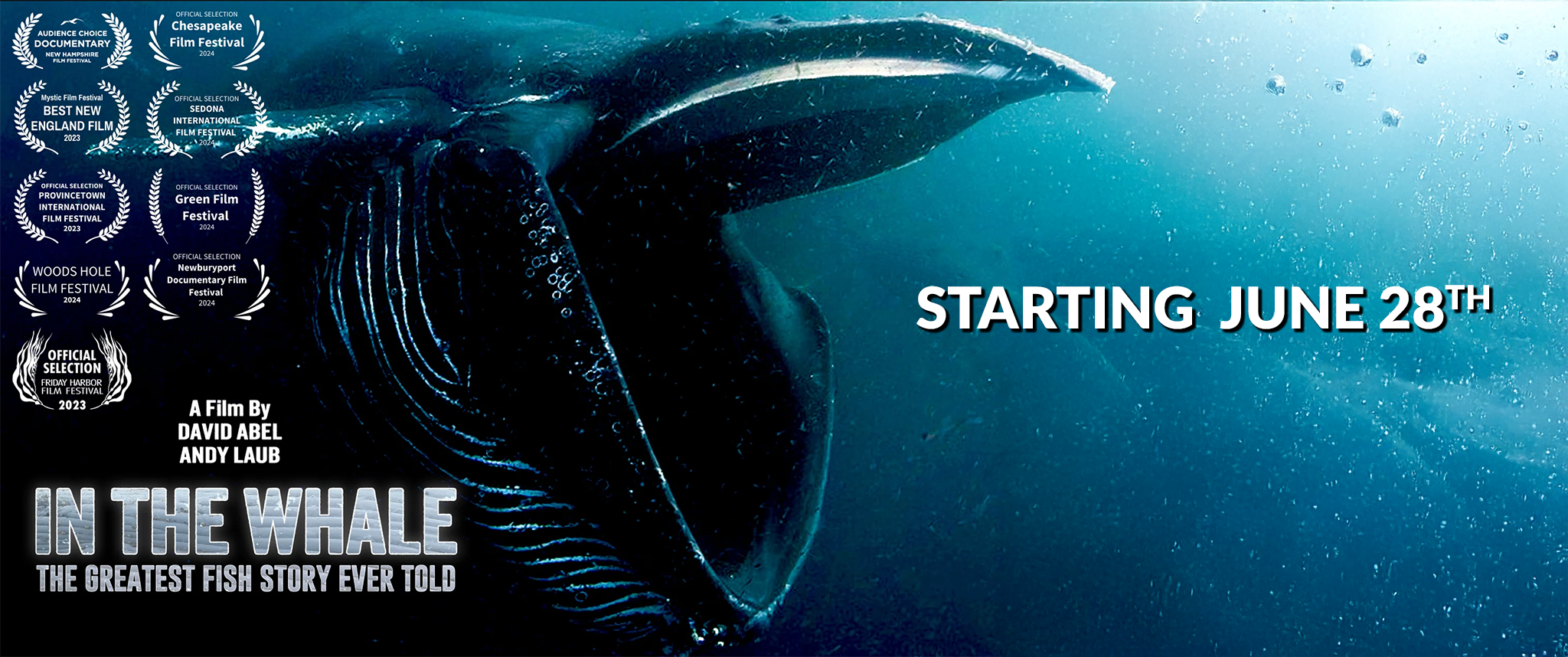 in the whale - Copy.png