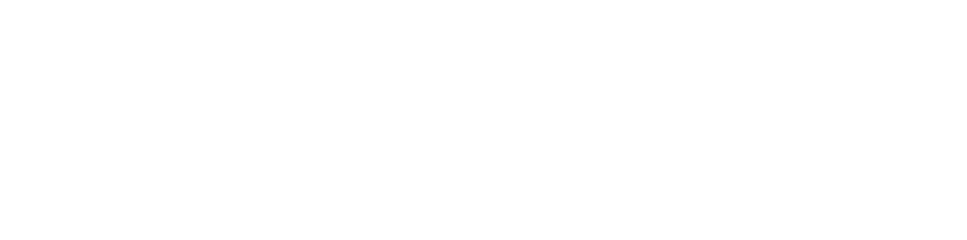 Company logo image Footer