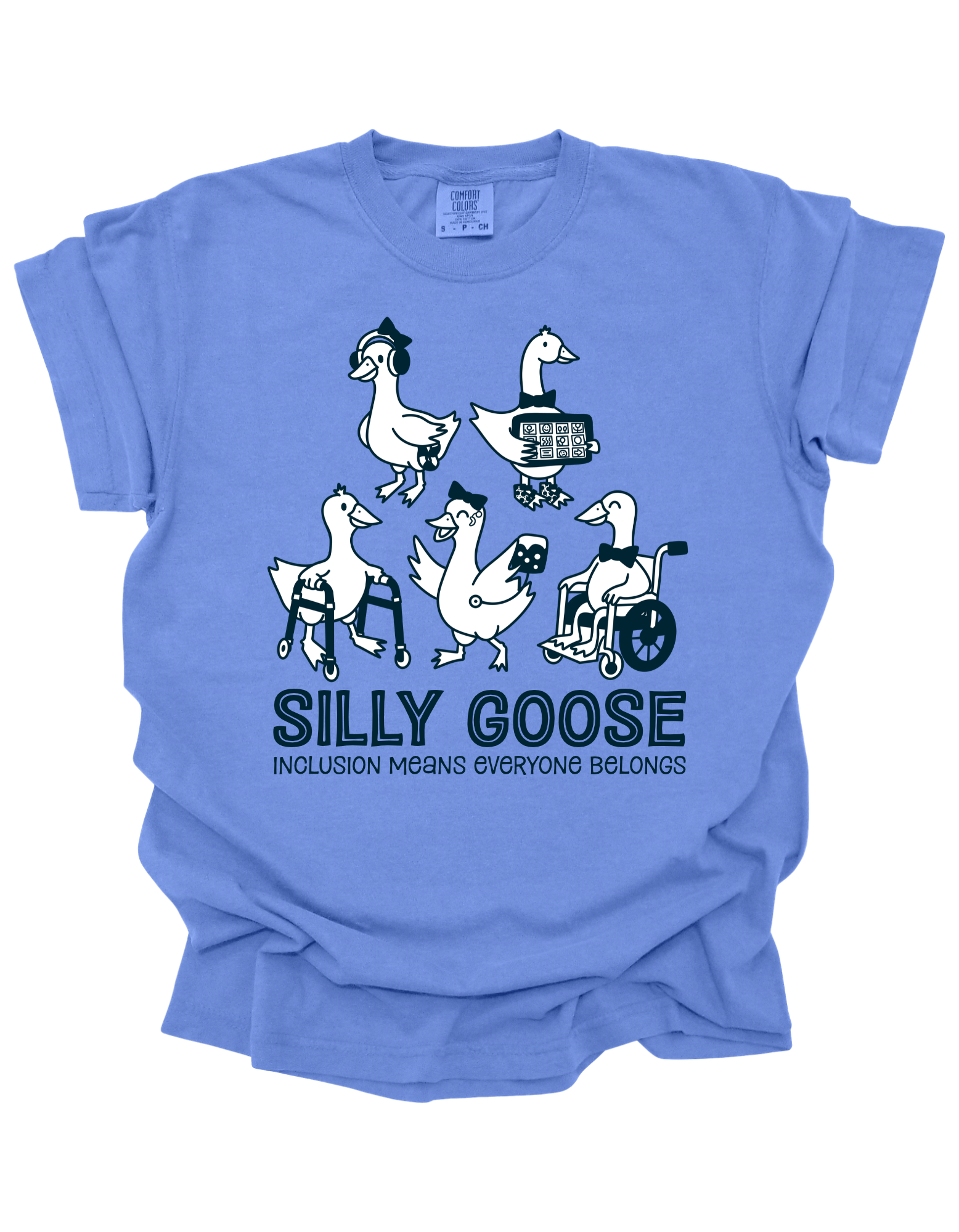 Preschool Silly Goose T-Shirt (1).png