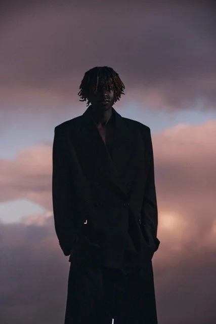 Person standing outdoors at sunset or dusk, dressed in dark clothing, with a cloudy sky in the background.