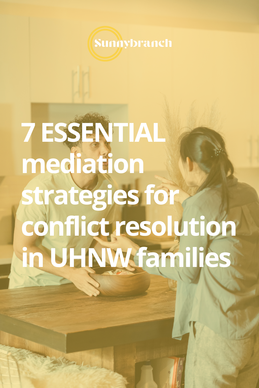 7 ESSENTIAL Mediation Strategies for Conflict Resolution in UHNW ...