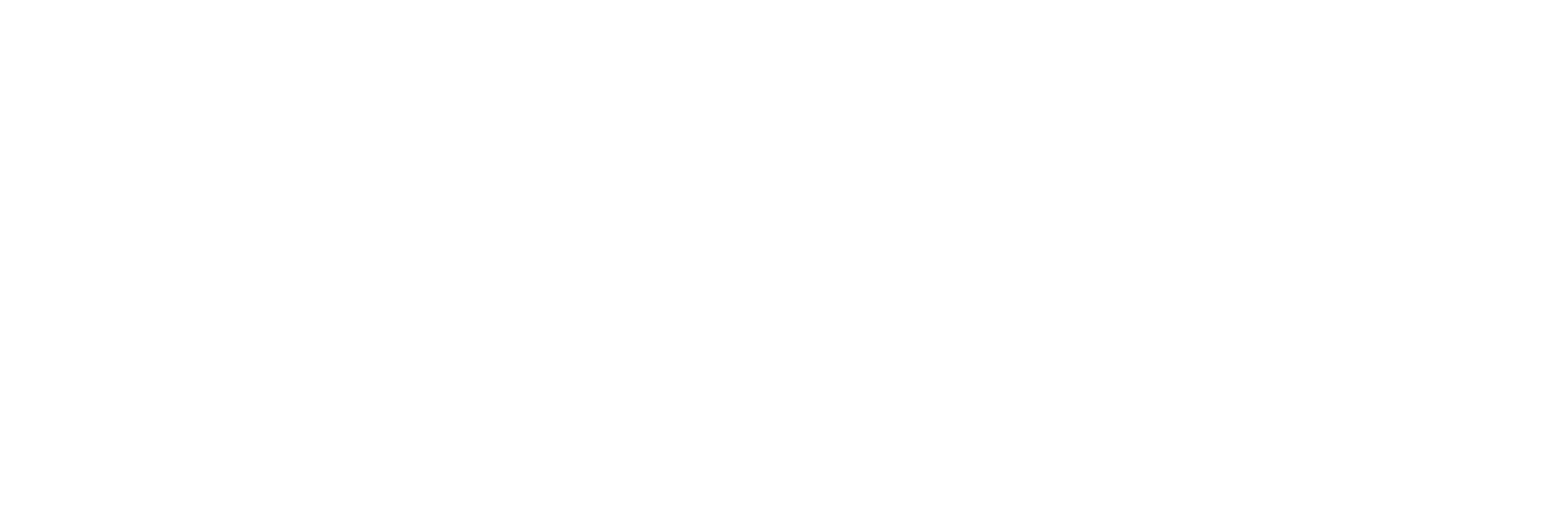 Company logo image Footer