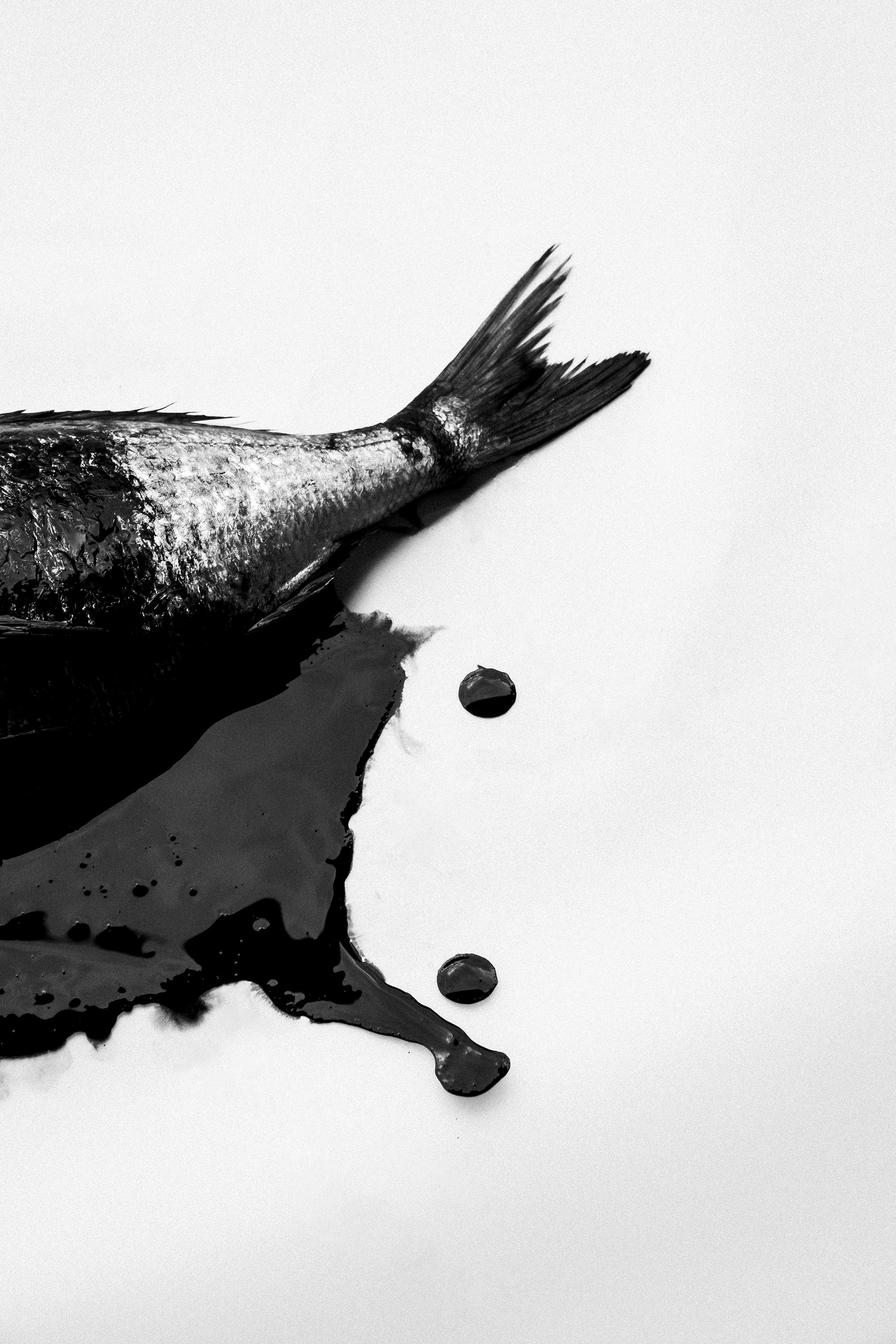 Black Gold