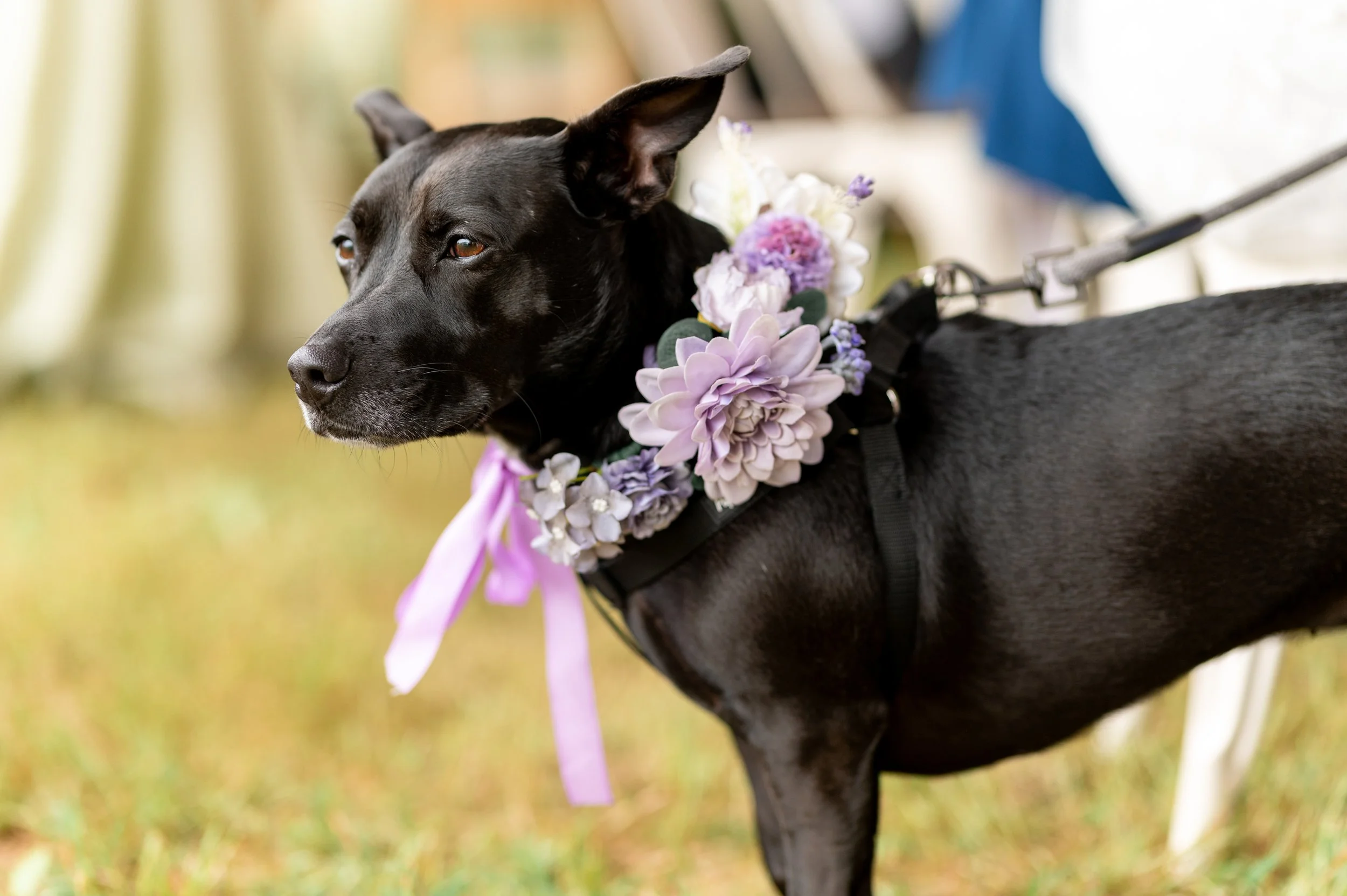 Megan + Chris Wedding-434.jpg