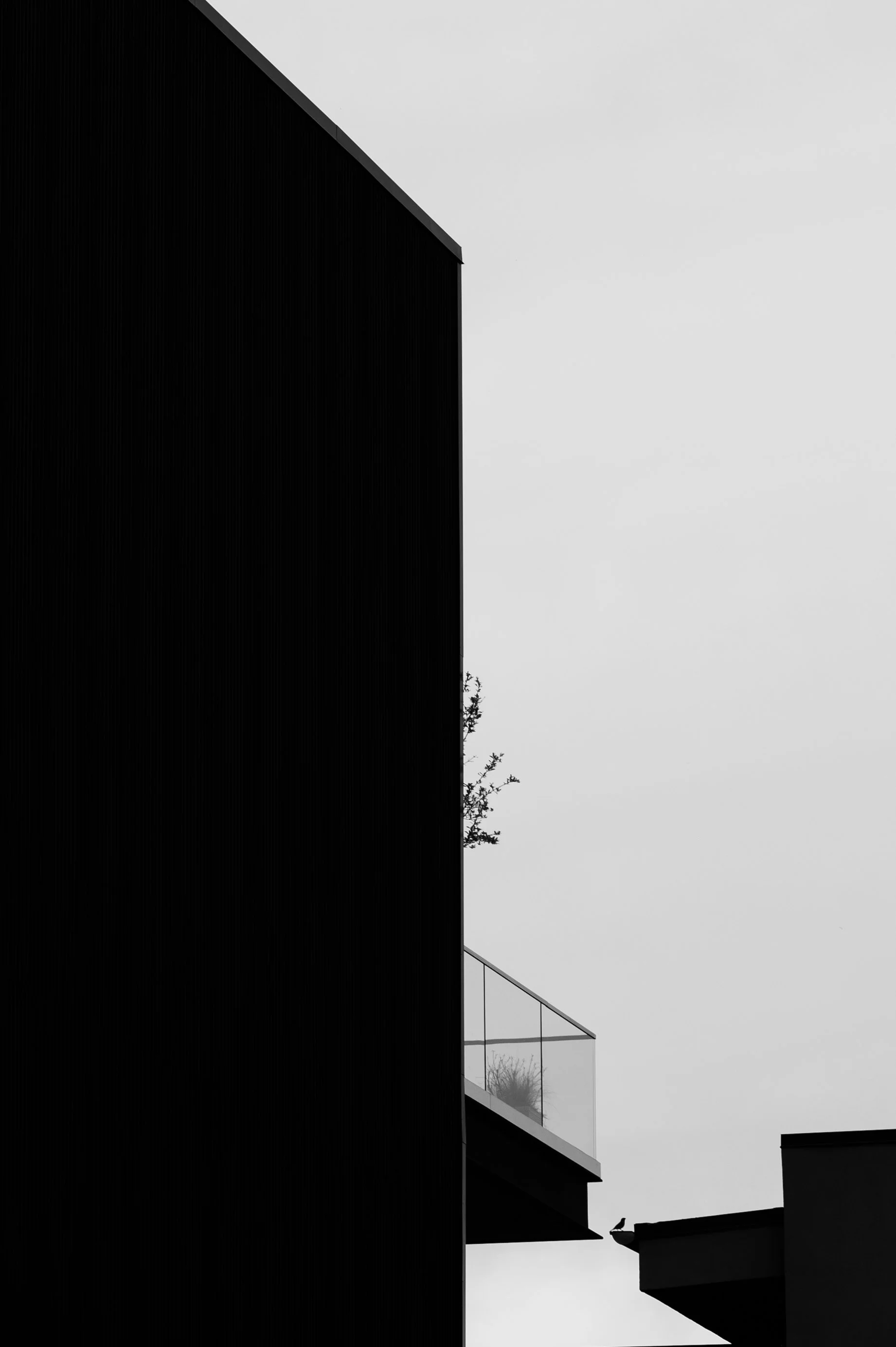Raleigh photographer 