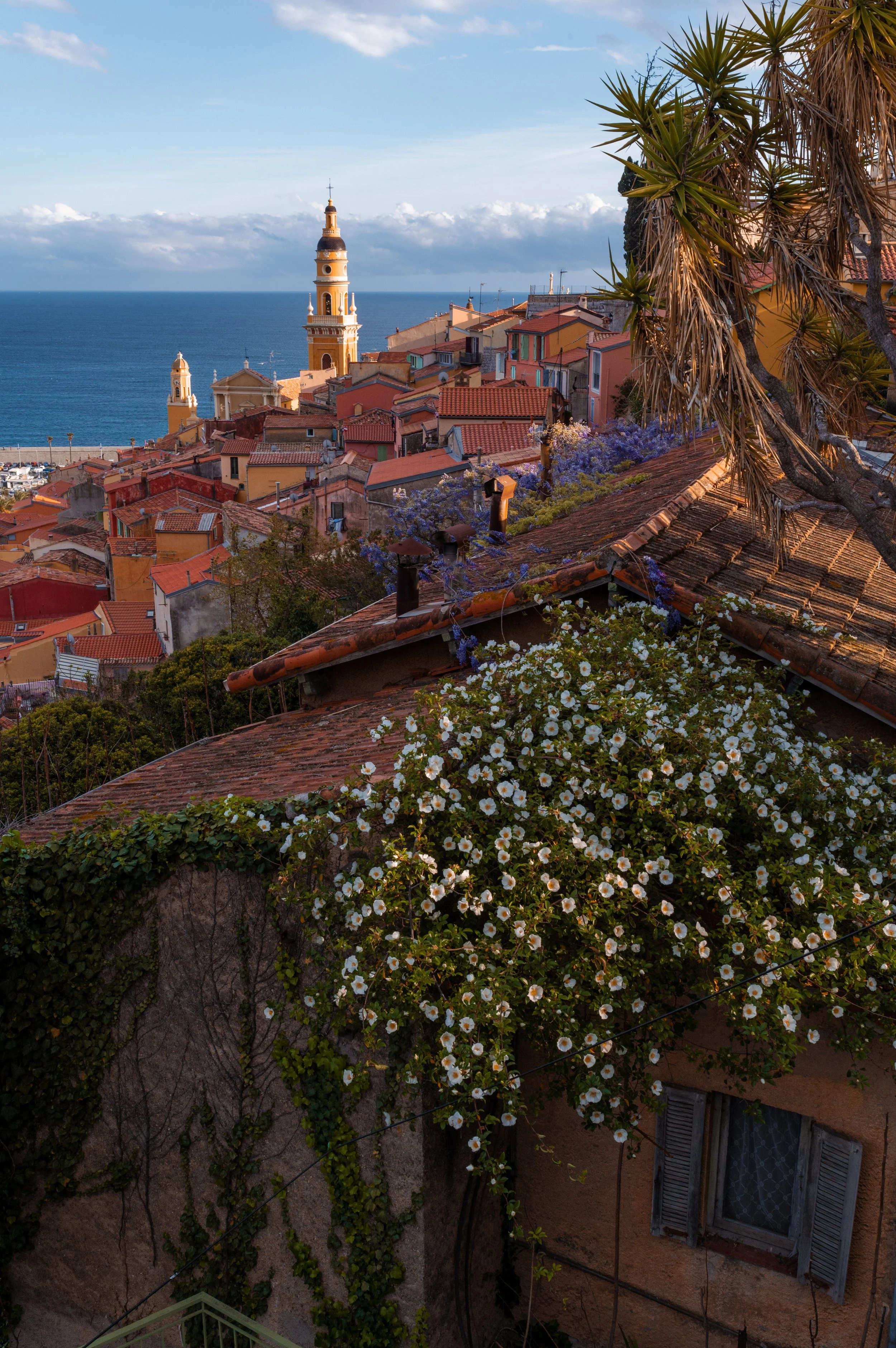 Menton, France by photographer Briana Woods