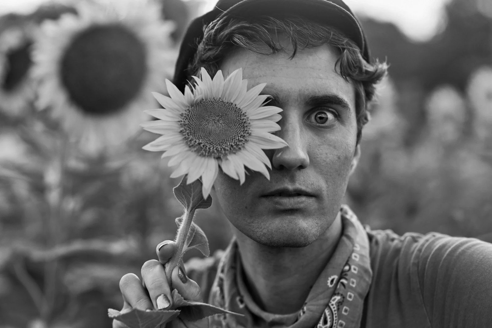 Unconventional, creative portrait photography. Man holds a sunflower over one of his eyes and looks into camera. Dix Park sunflower field in Raleigh, North Carolina.