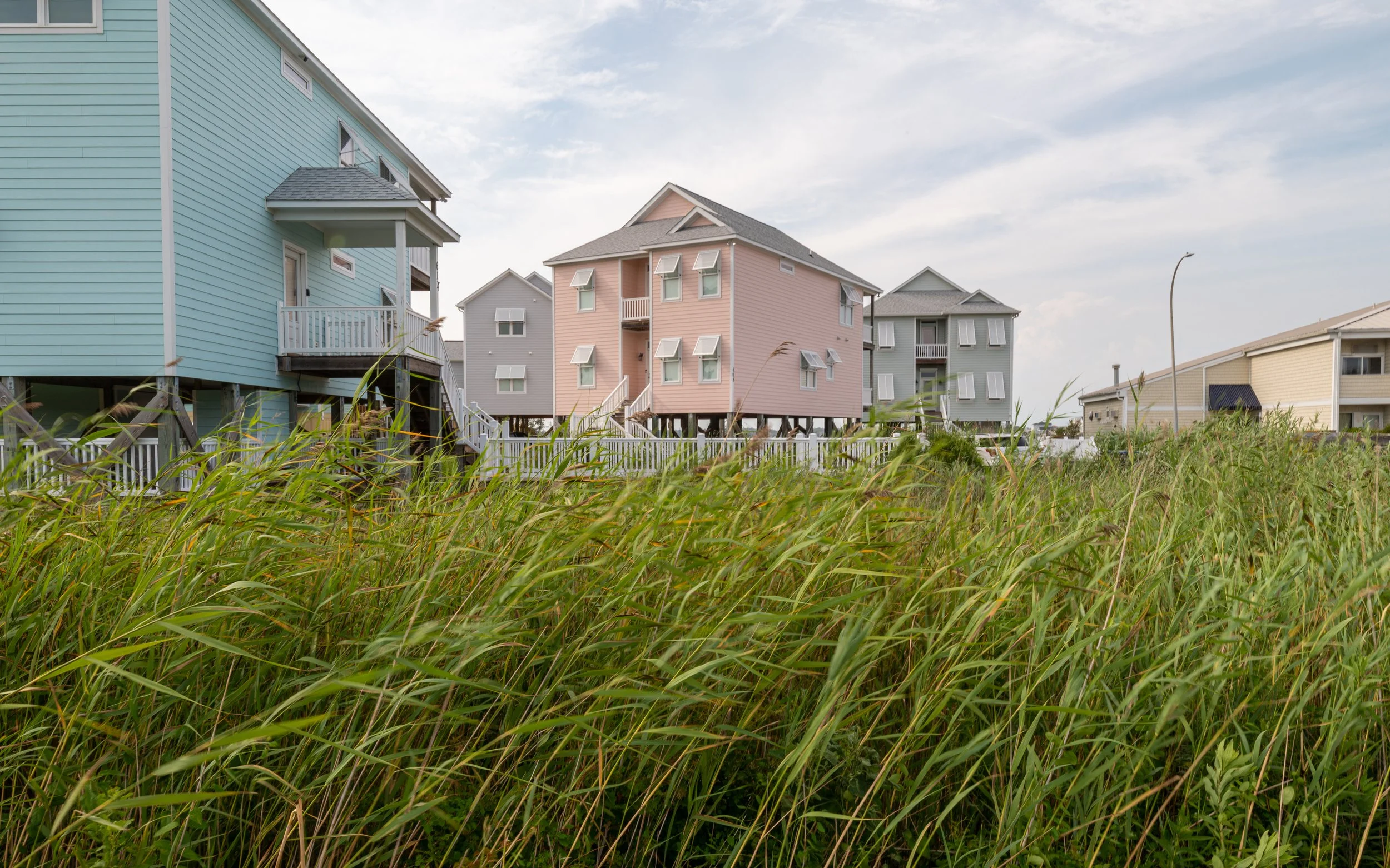 Raleigh photographer 