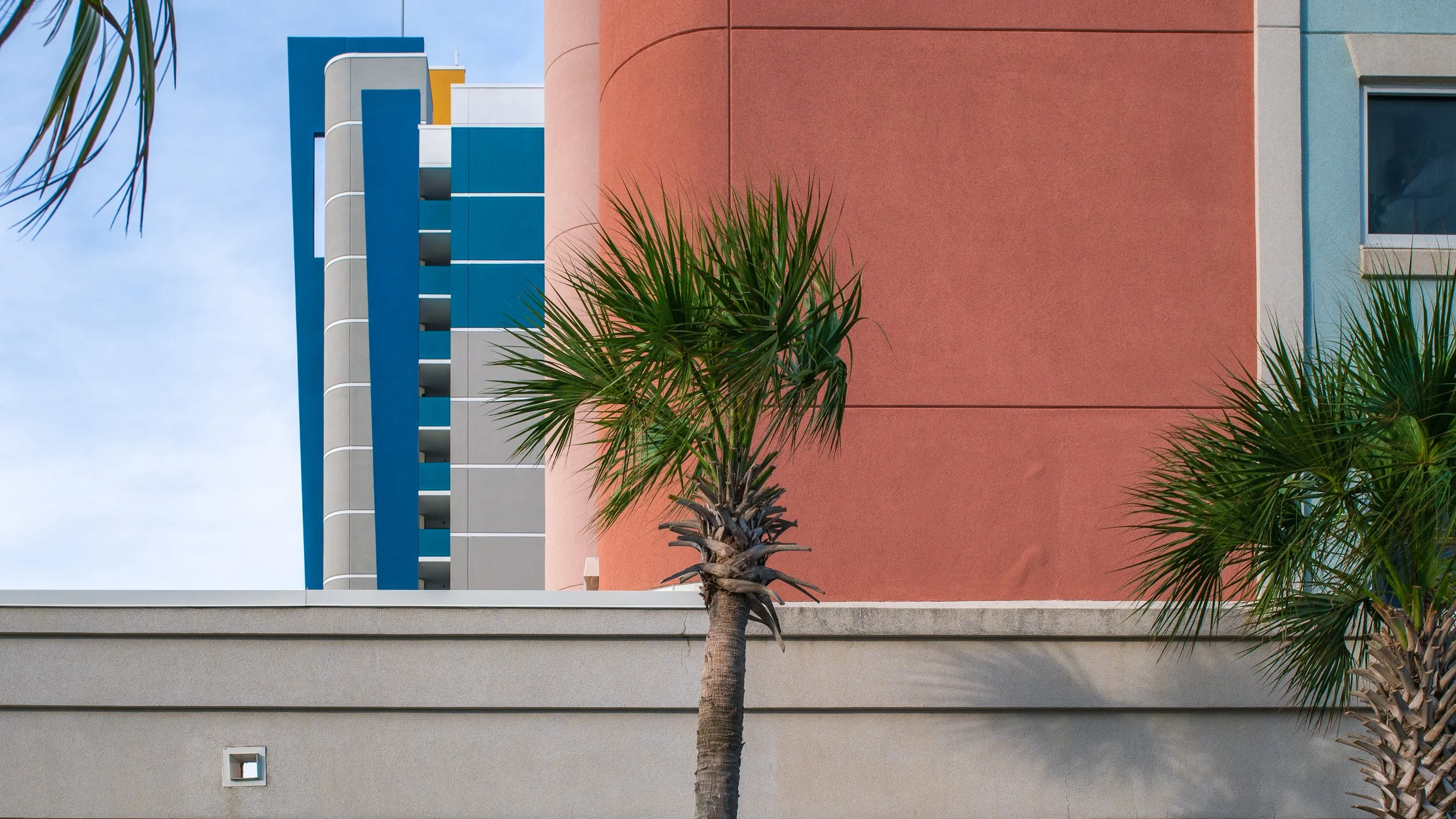 Raleigh photographer 