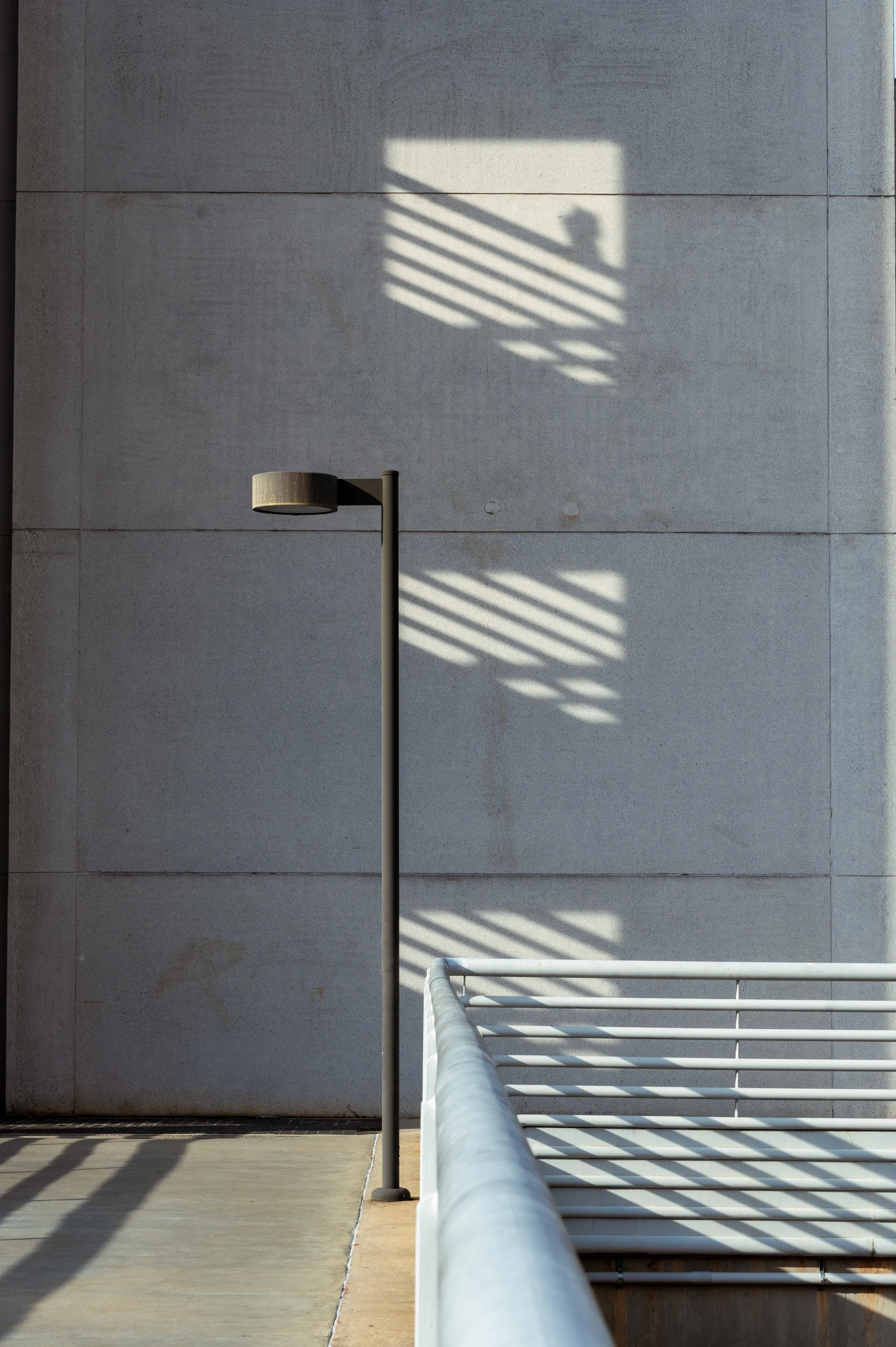 Raleigh photographer 