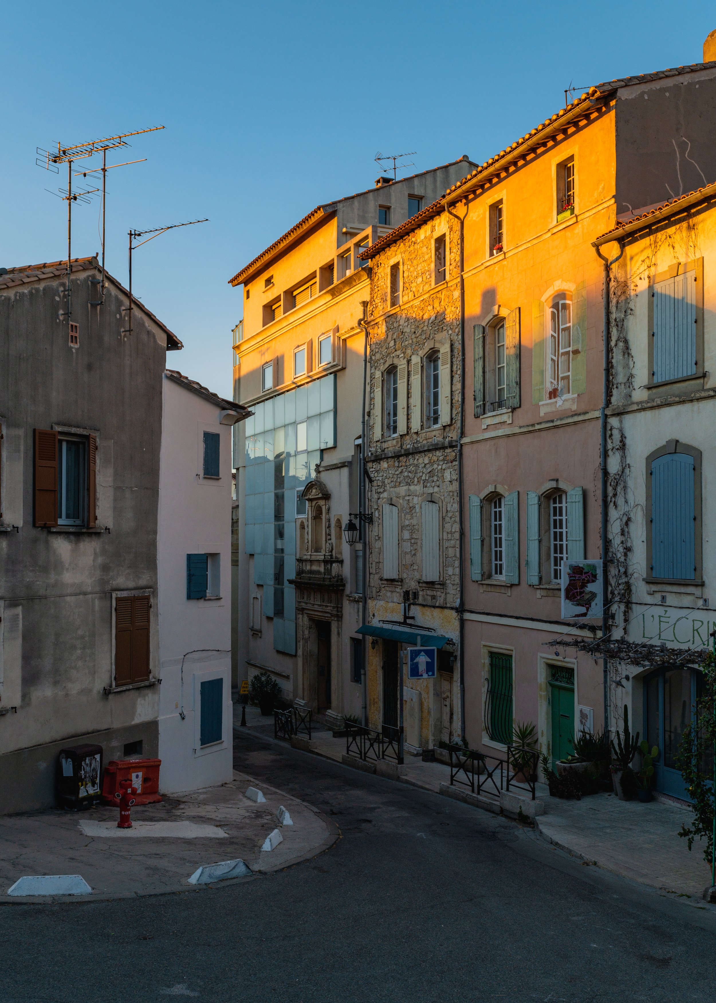 Arles by photographer Briana Woods