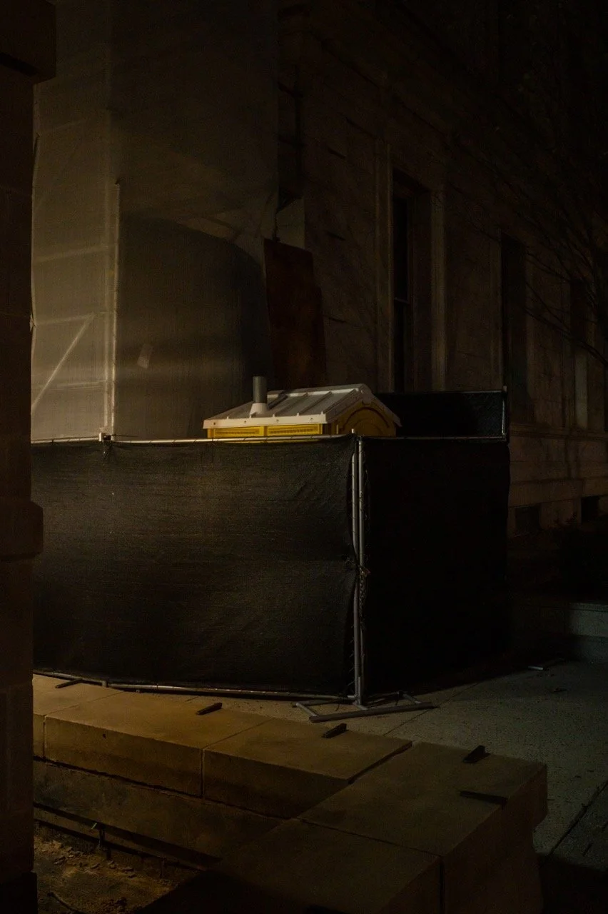 Raleigh photographer 