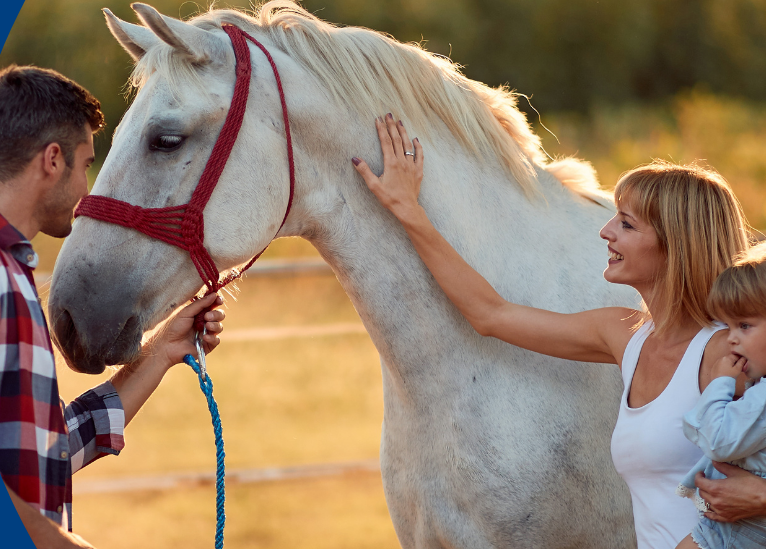 (NOW FULL) Building Unity in Special Needs Families - Equine Therapy Group (Sponsored by Critically Loved)