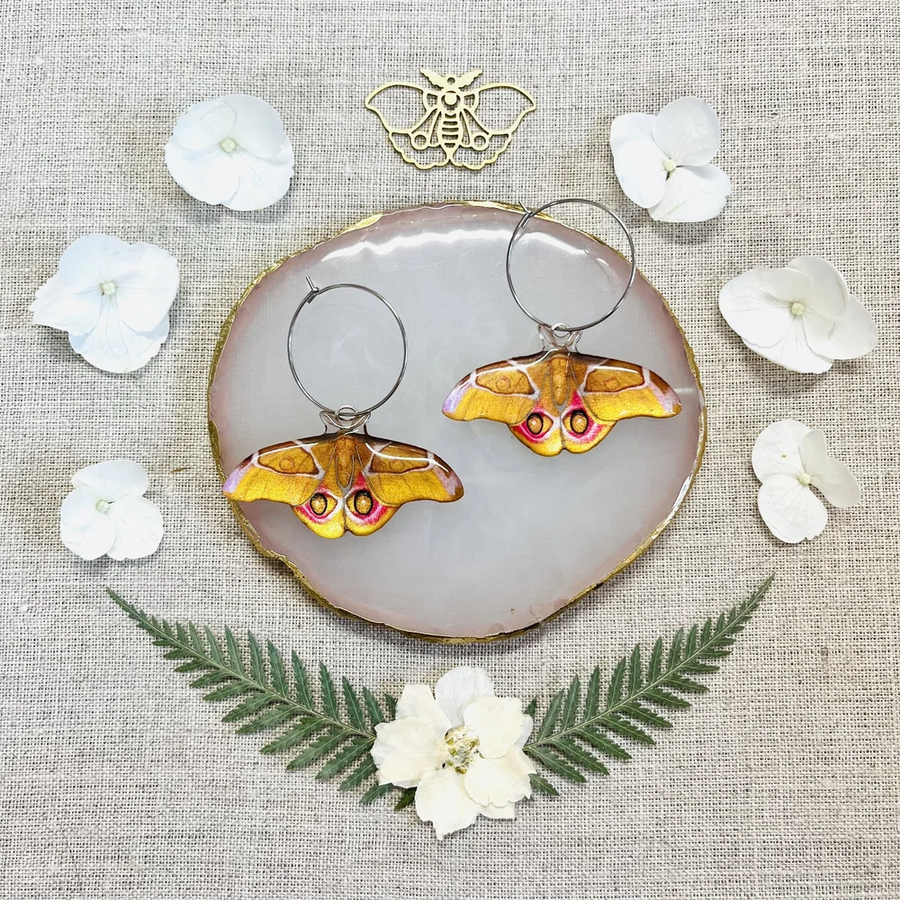Moth Earrings Hypoallergenic Butterfly Earrings Madagascan