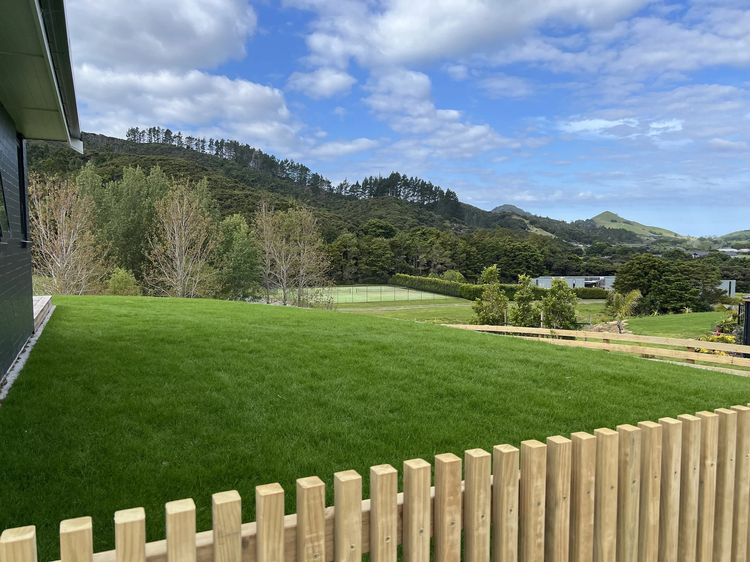 Ready lawn, grass, lawn builder, turf,