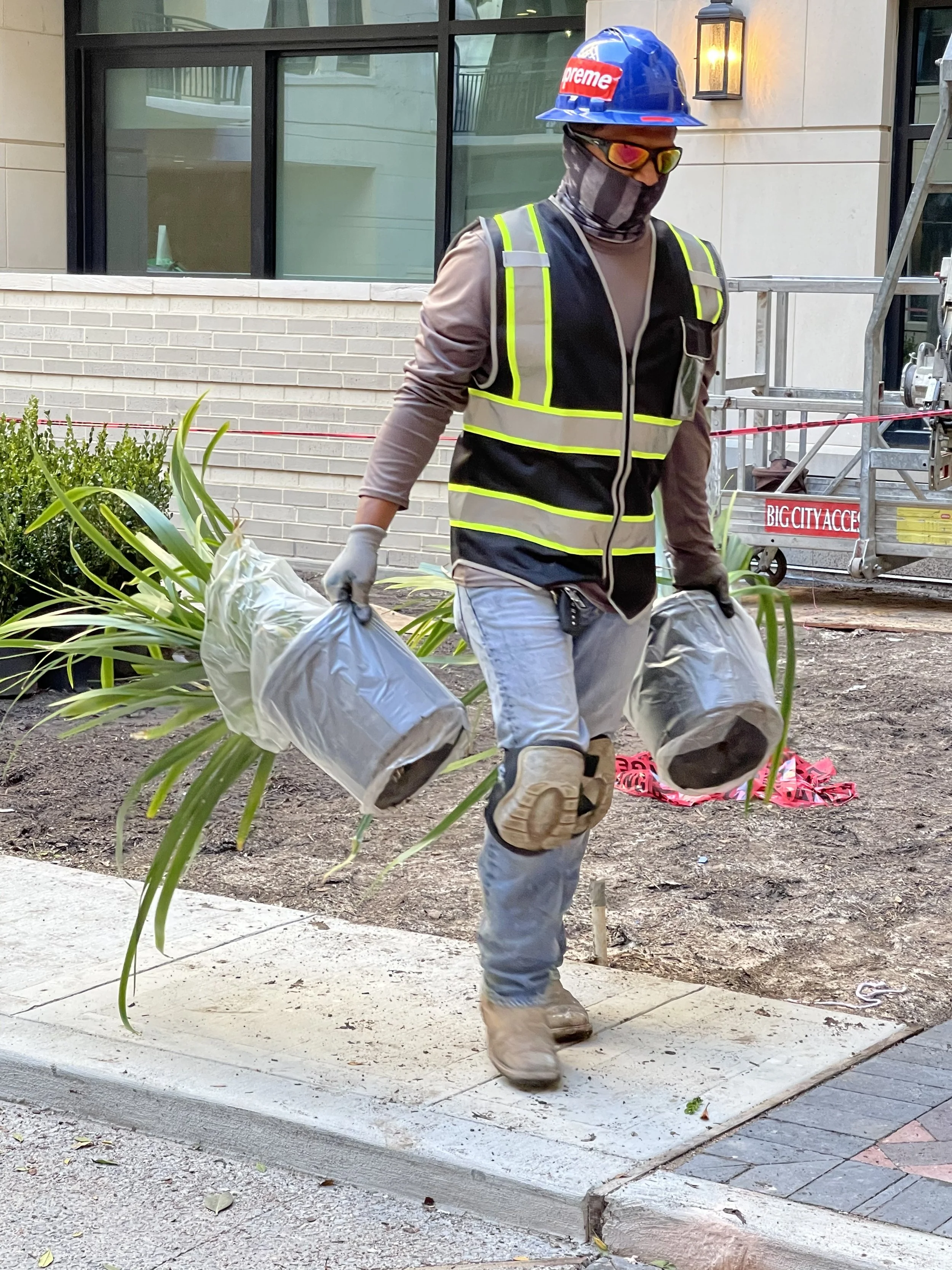 Novel River Oaks1.jpeg