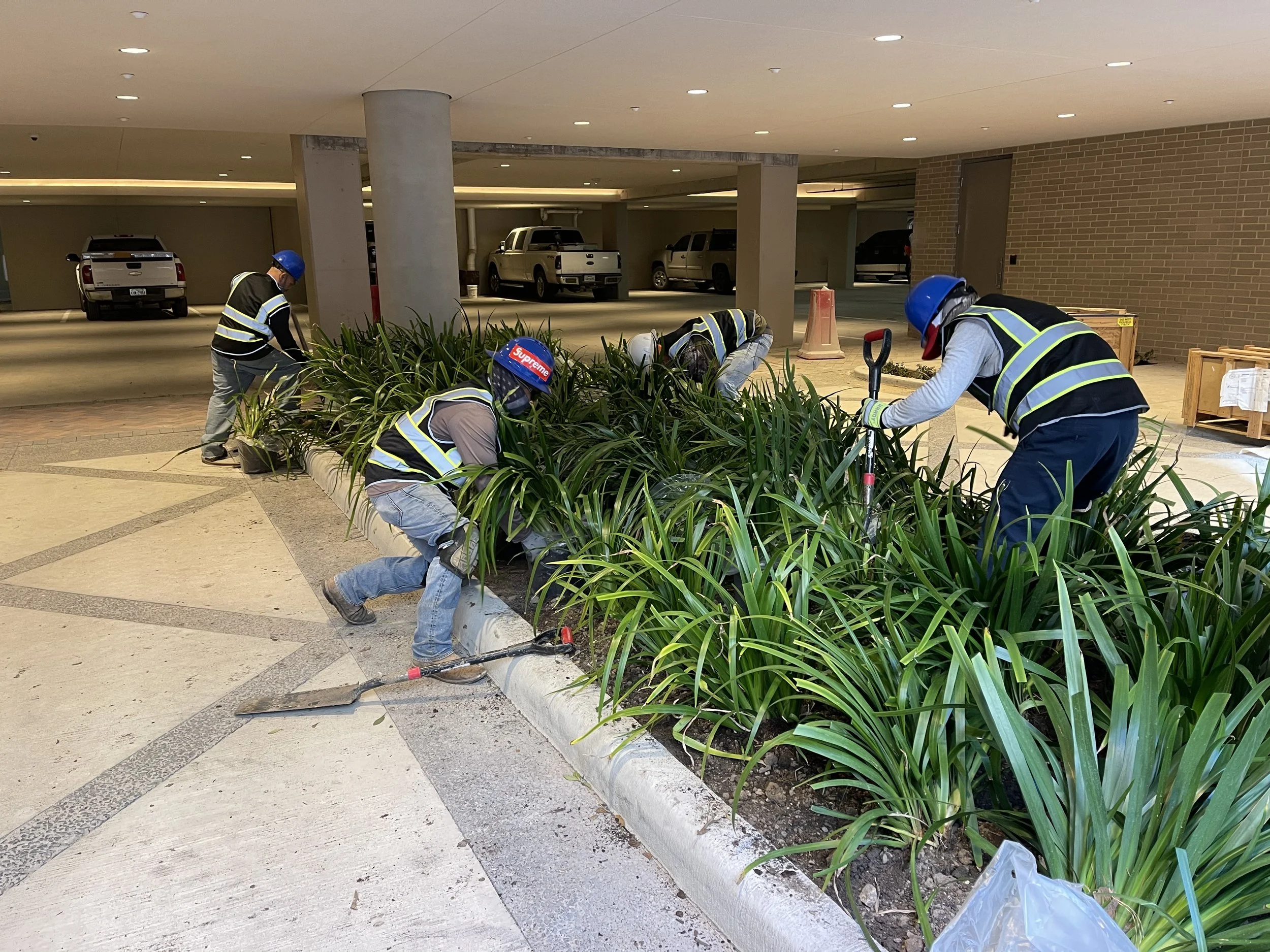 Novel River Oaks2.jpeg