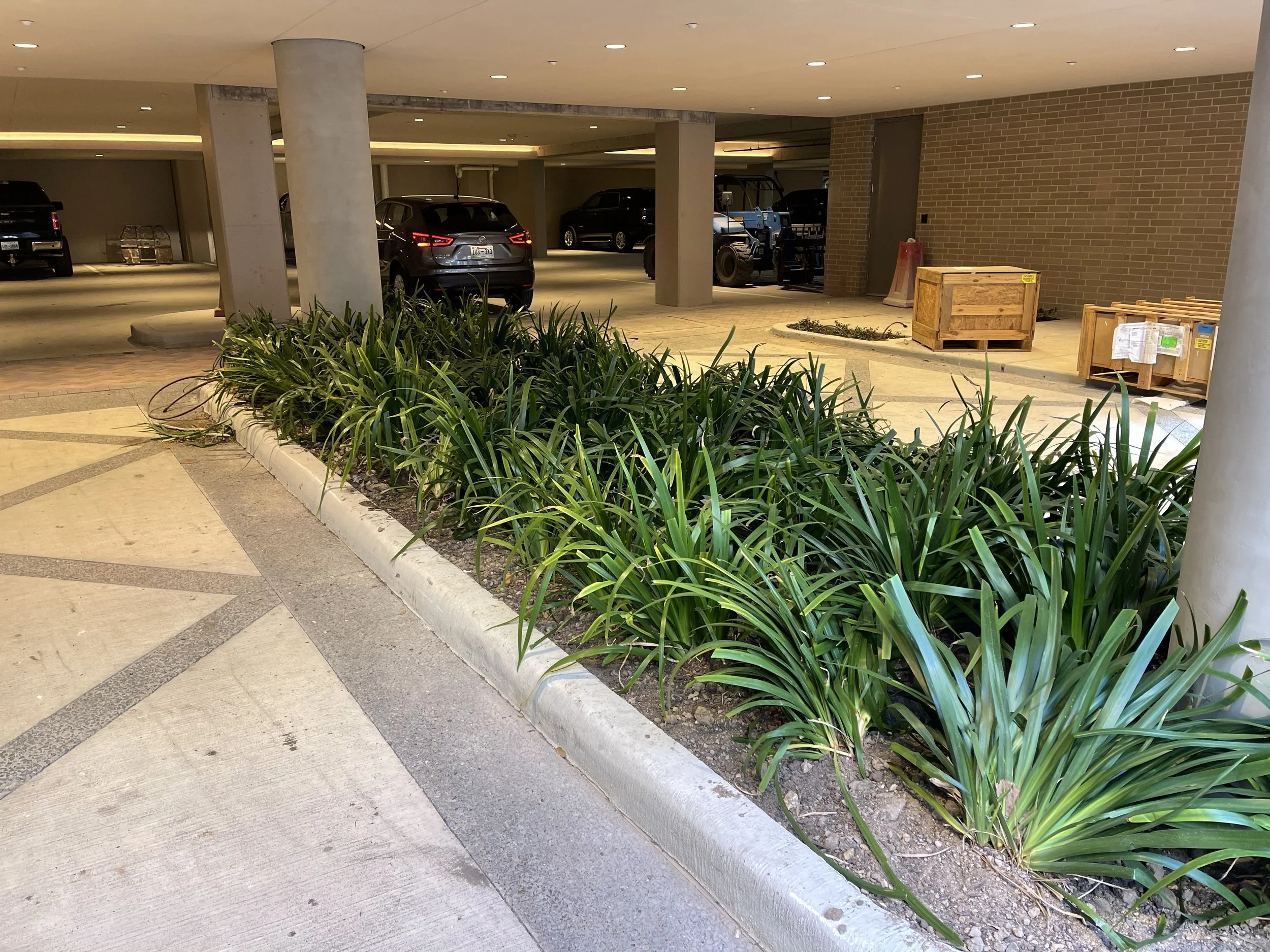 Novel River Oaks3.jpeg