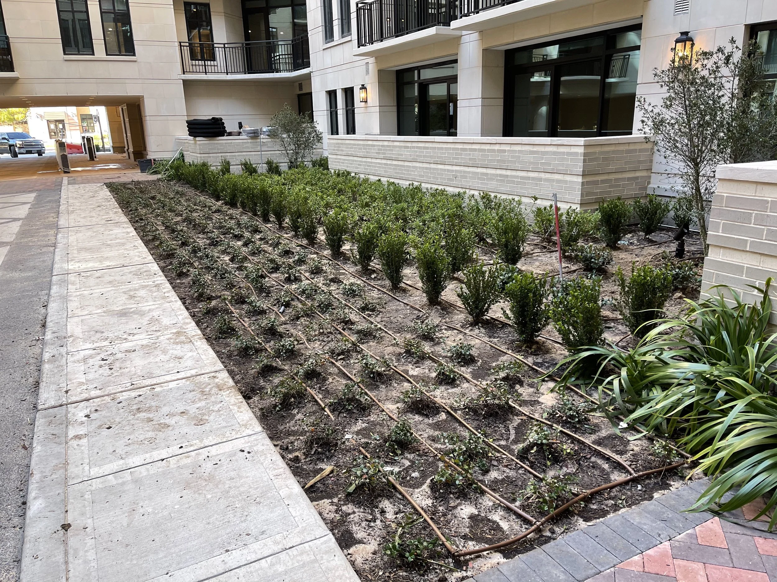 Novel River Oaks4.jpeg