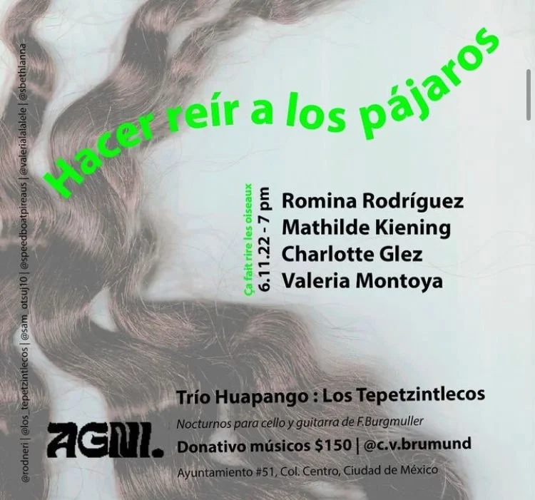 WhatsApp Image 2023-02-11 at 16.10.53.jpeg