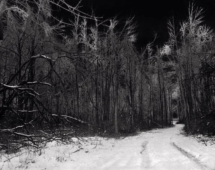 WhatsApp Image 2023-07-02 at 22.28.01.jpeg