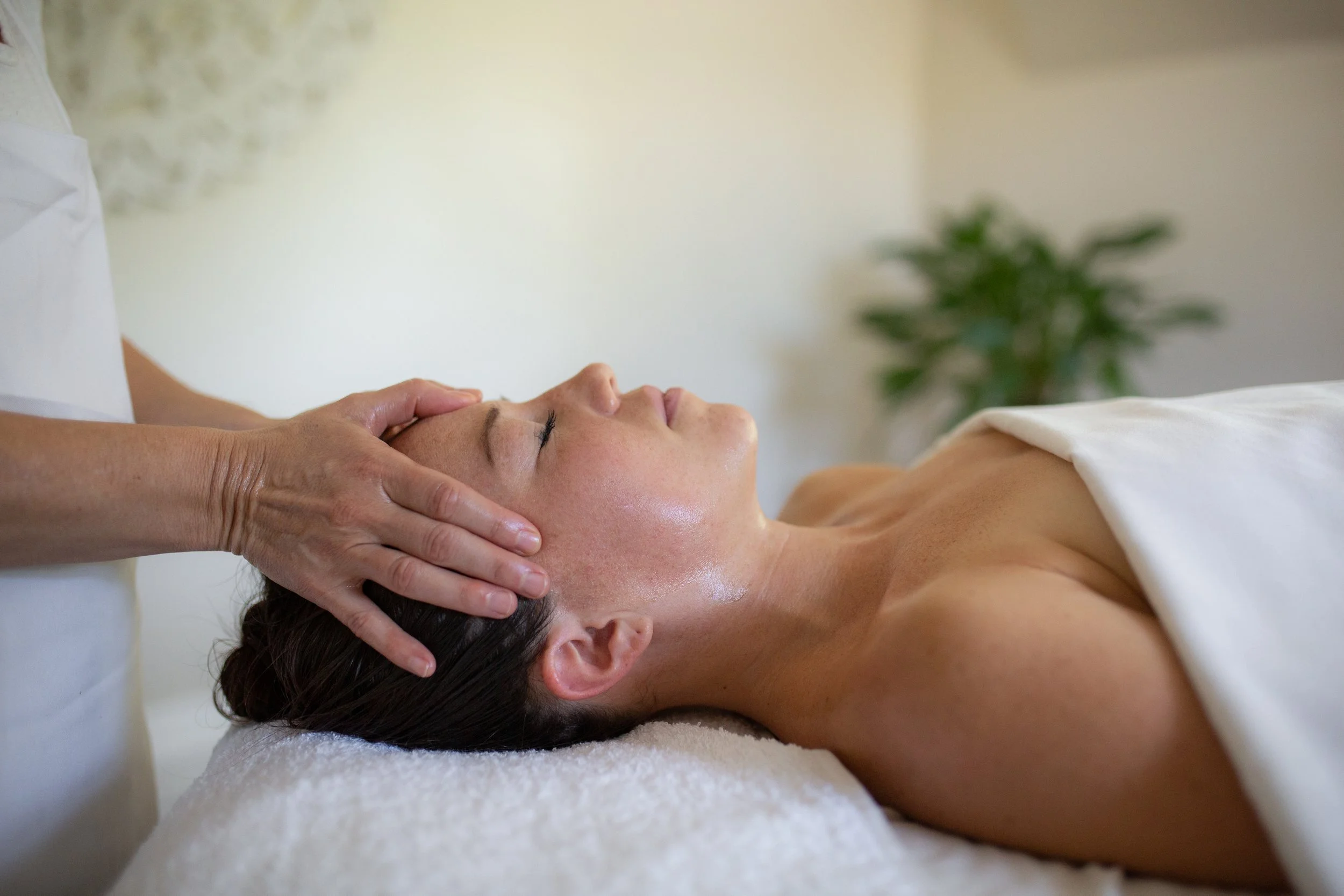 The Ayurvedic Center of Vermont