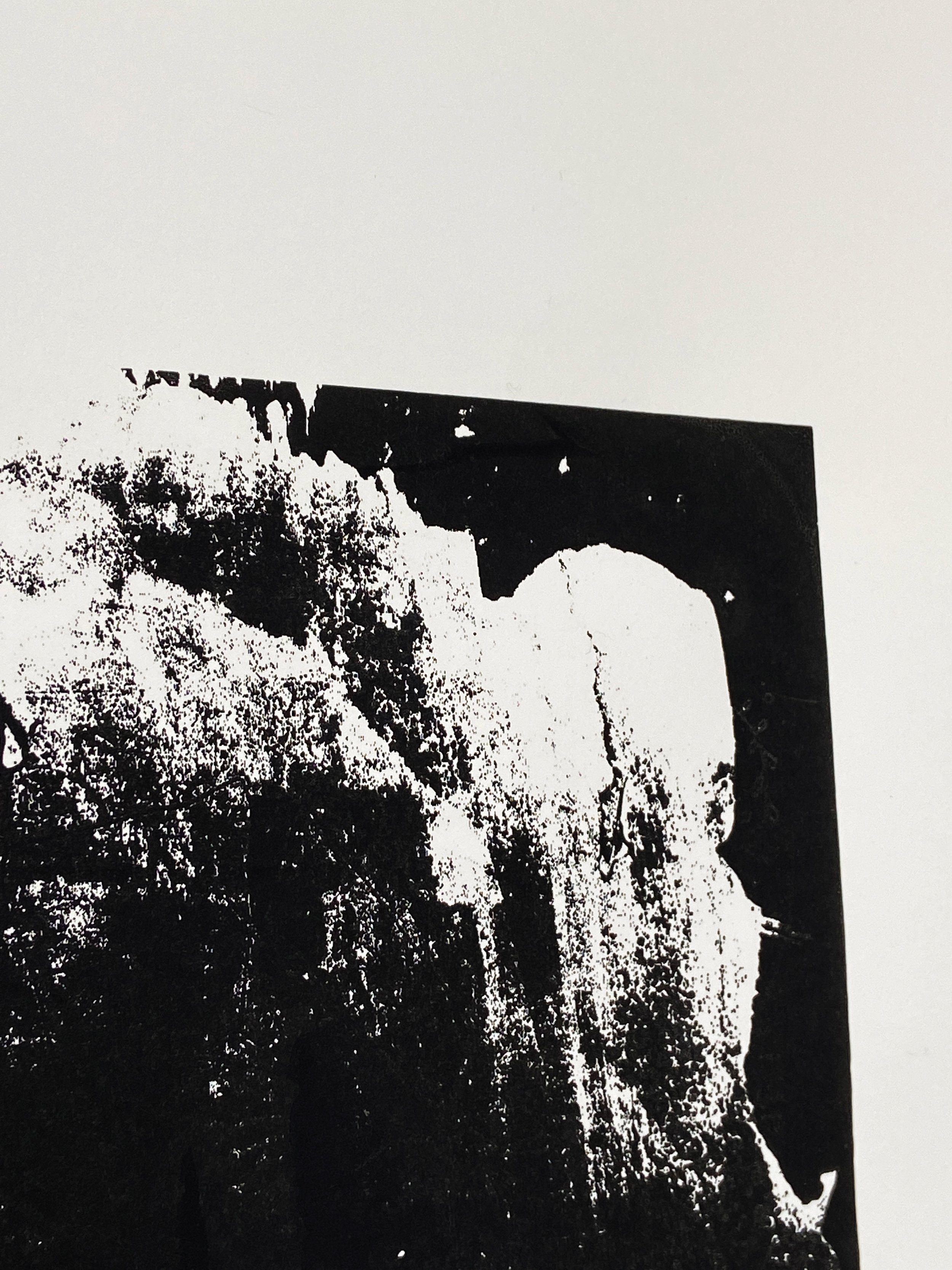 detail6.jpg