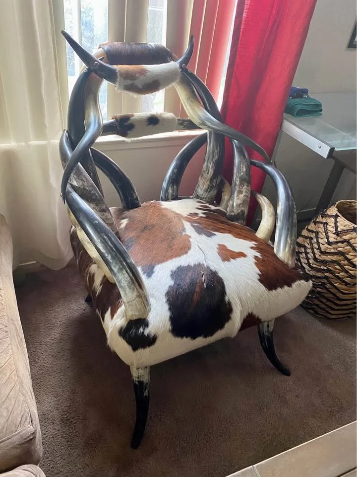 😂 Absolutely Not
Criminal behavior disguised as home decor.