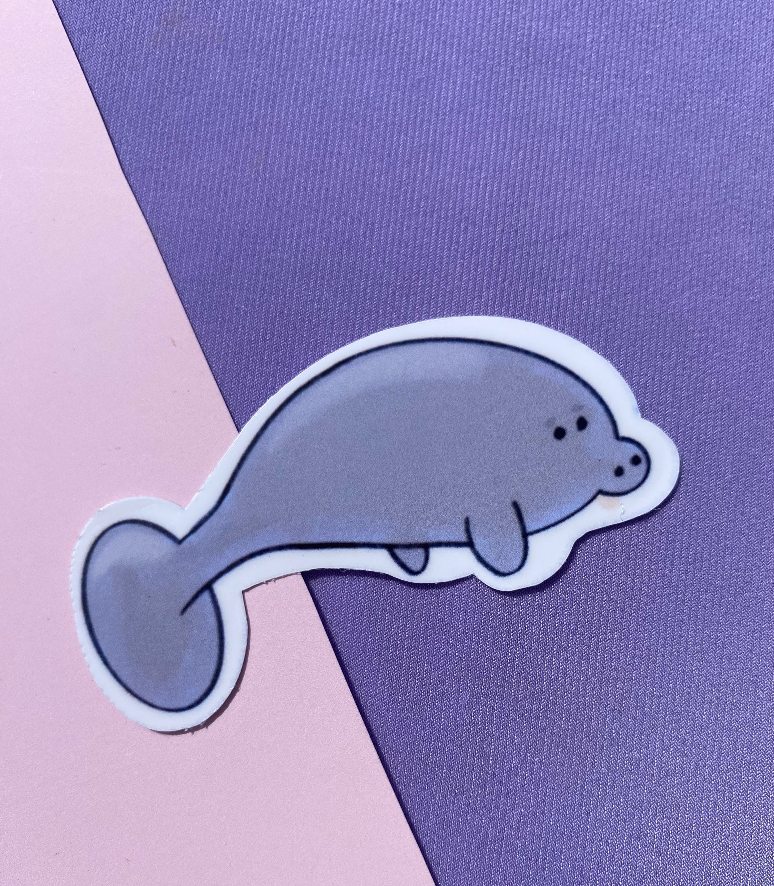 https://i.etsystatic.com/10264195/r/il/e6bcc1/6041165509/il_fullxfull.6041165509_tcq8.jpg