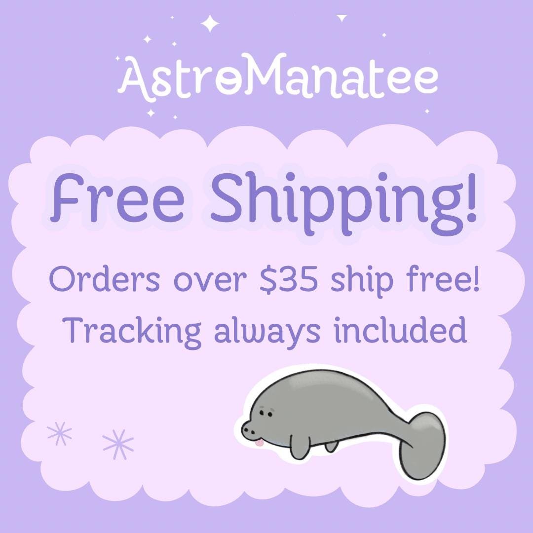 https://i.etsystatic.com/10264195/r/il/6ef25c/6660605472/il_fullxfull.6660605472_h2o9.jpg