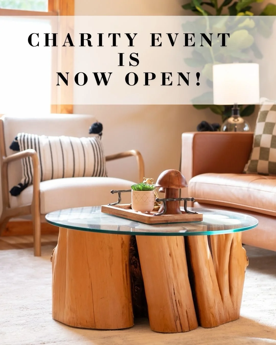 🌟 Give Back With Us This Year

✨ We&rsquo;re kicking off the year by giving back to our Eugene community &mdash; and YOU get to be part of it.

💛 For the next couple of weeks, every staging project booked will support the charity of your choice.

O