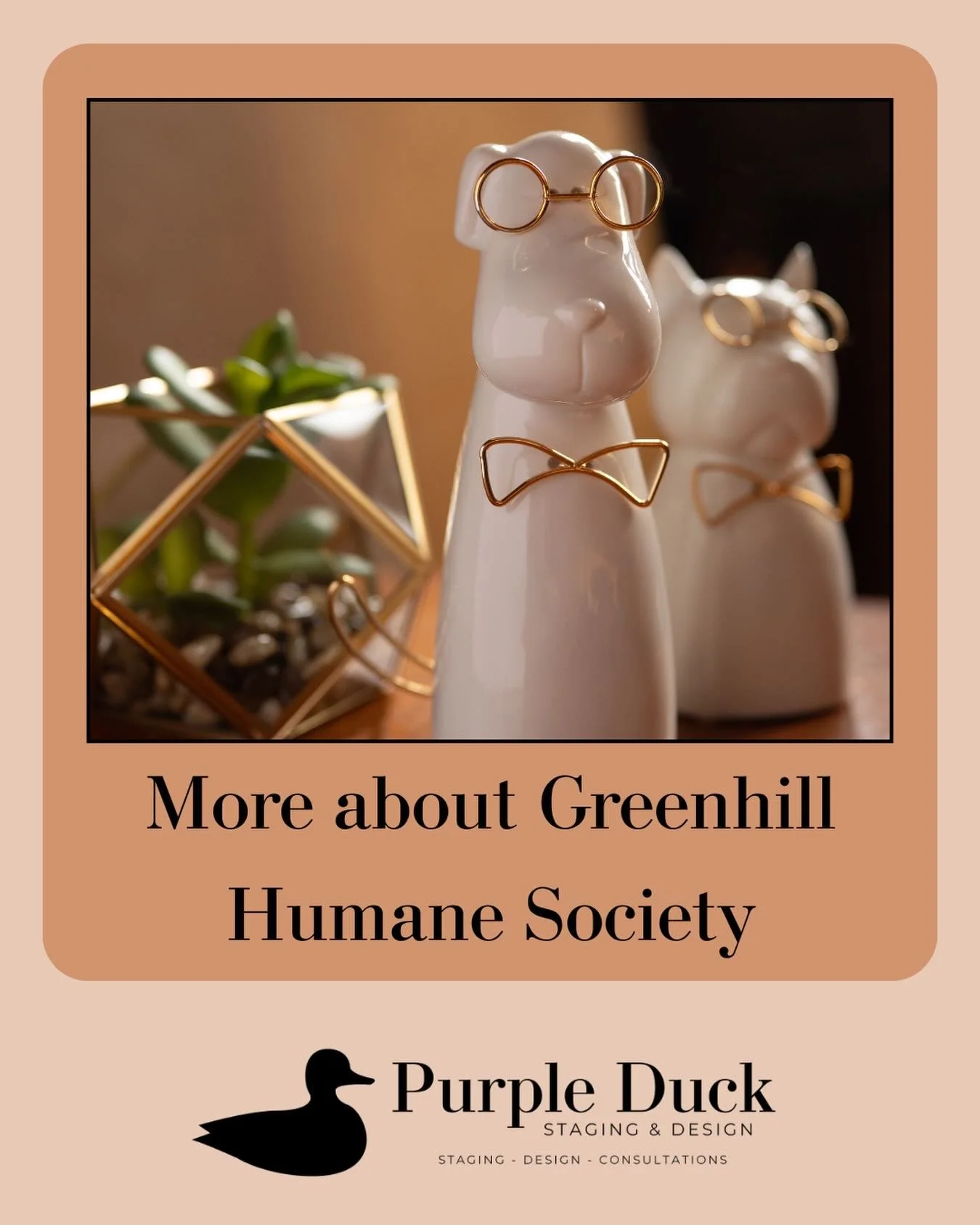 Here&rsquo;s one of the local charities you will have an option to choose in our January Charity Drive. 

From their website: 

&ldquo;Greenhill Humane Society has been caring for animals in Lane County since 1944. We operate the only animal shelter 