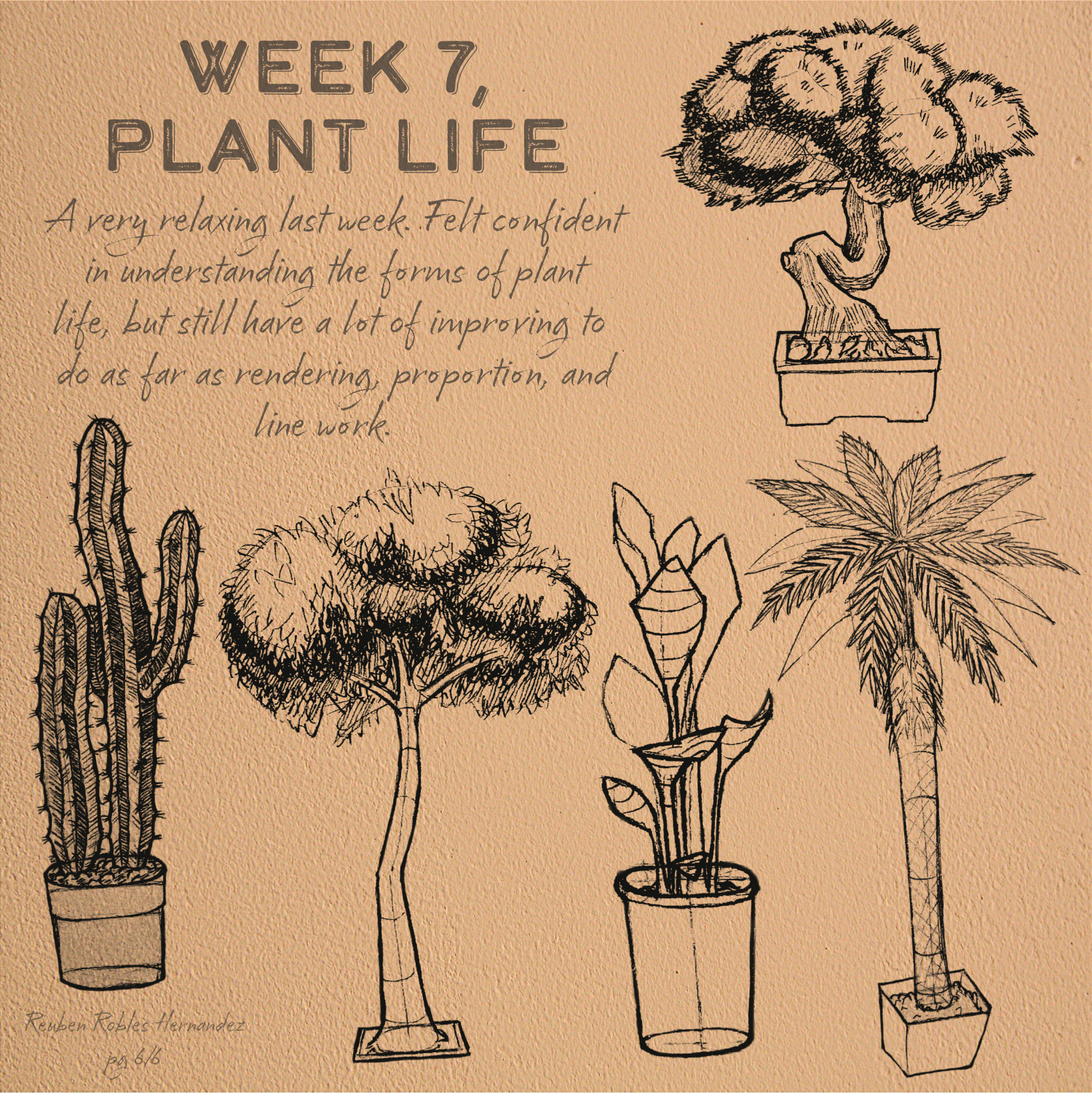 DYNAMIC SKETCHING COURSE
PLANT LIFE