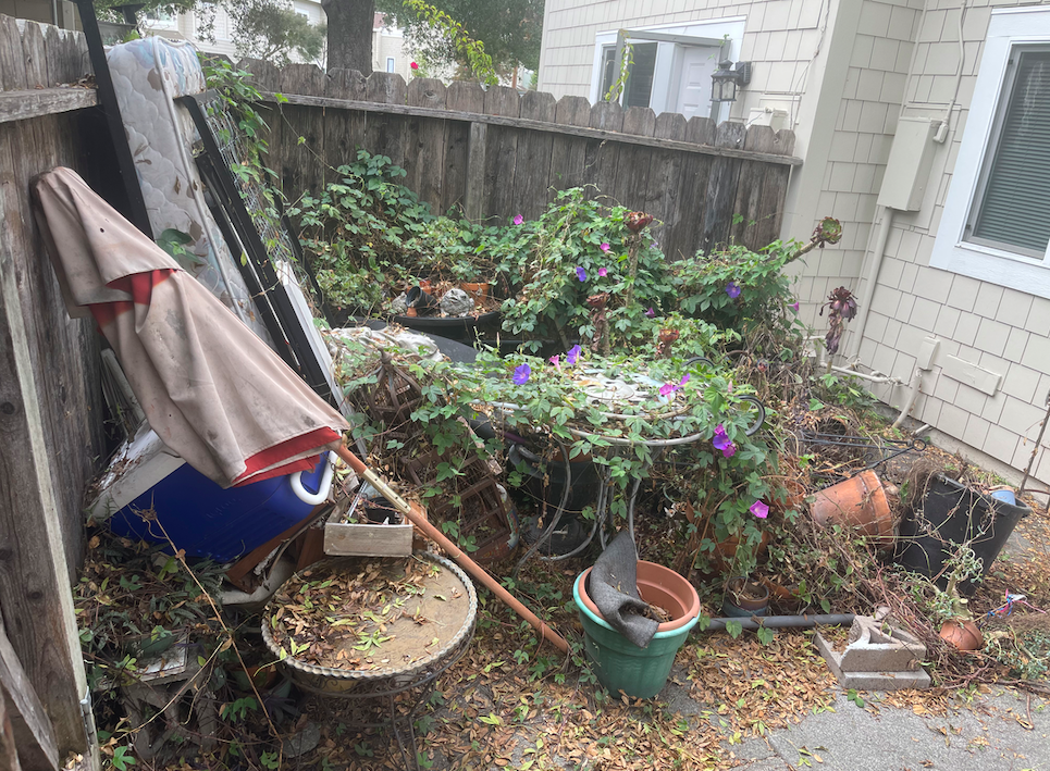 Screen Shot 2022-09-22 at 9.49.54 AM.png