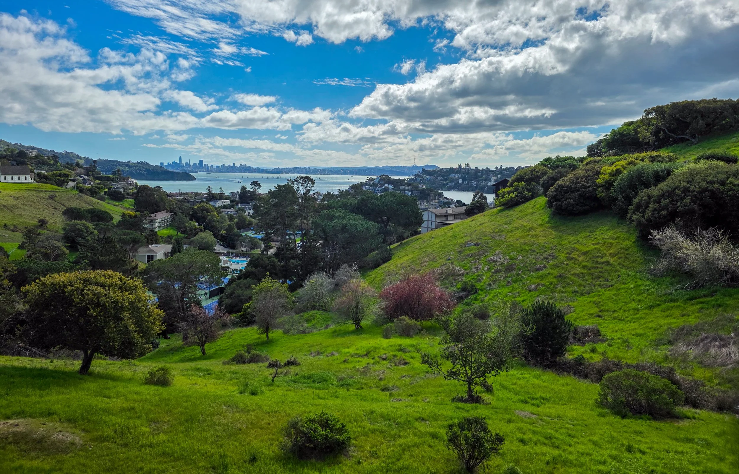 Ochoa's Hauling, Estate junk removal in Tiburon
